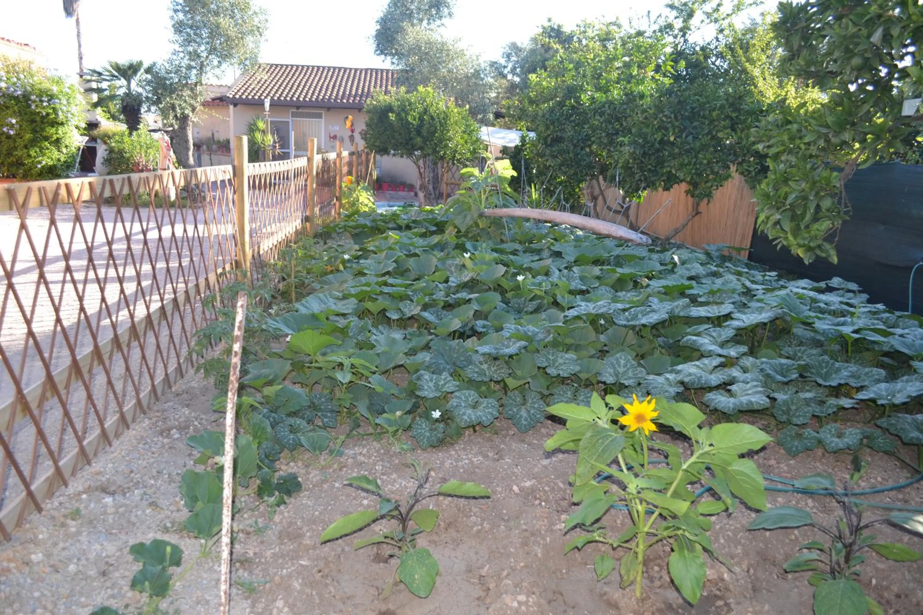Garden in B&B l'Antropologo