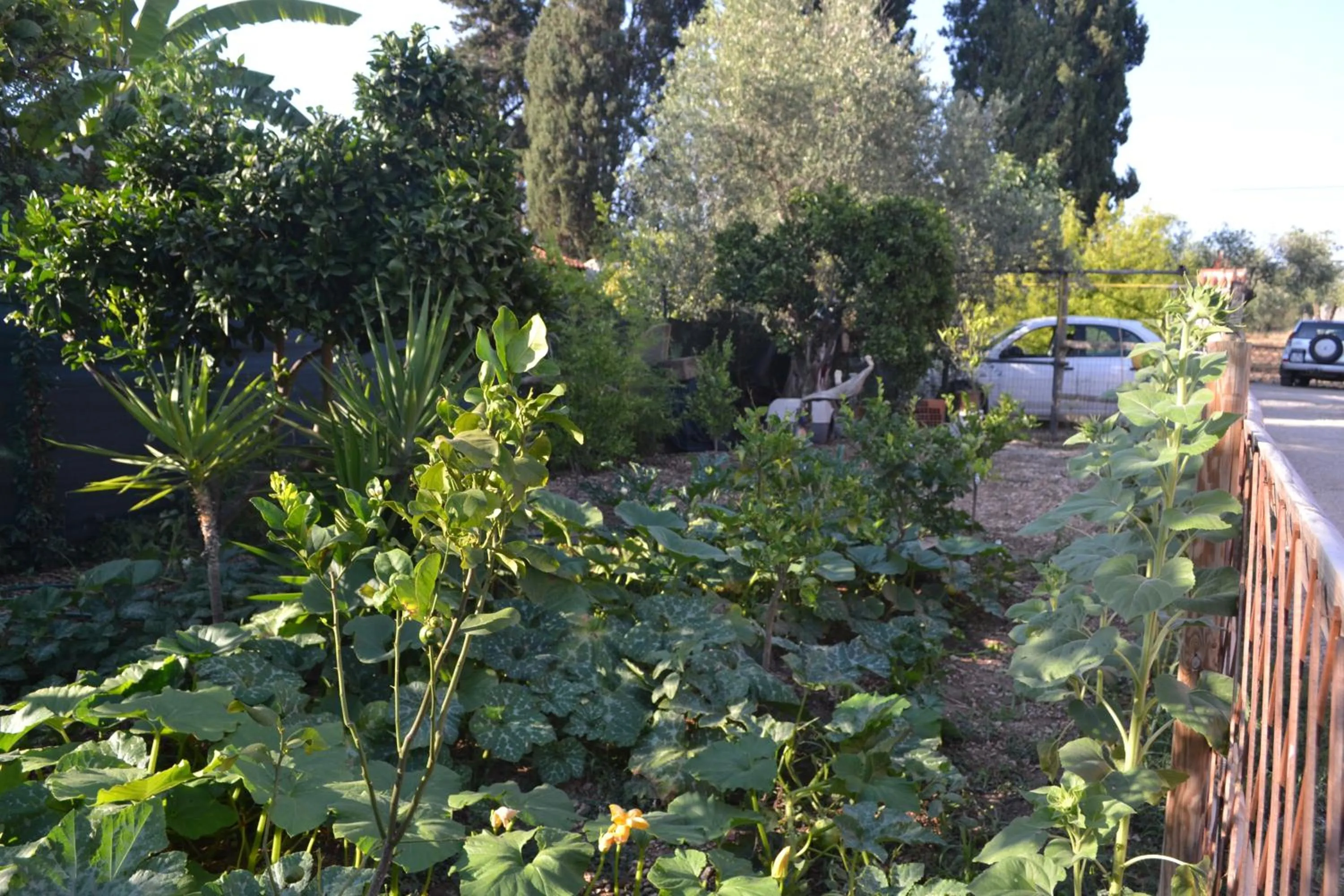 Garden in B&B l'Antropologo