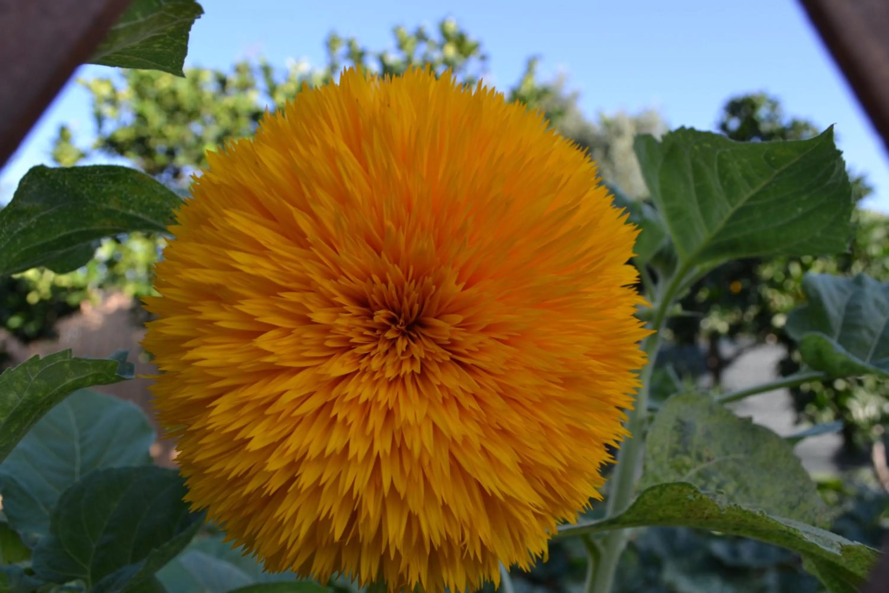 Decorative detail in B&B l'Antropologo
