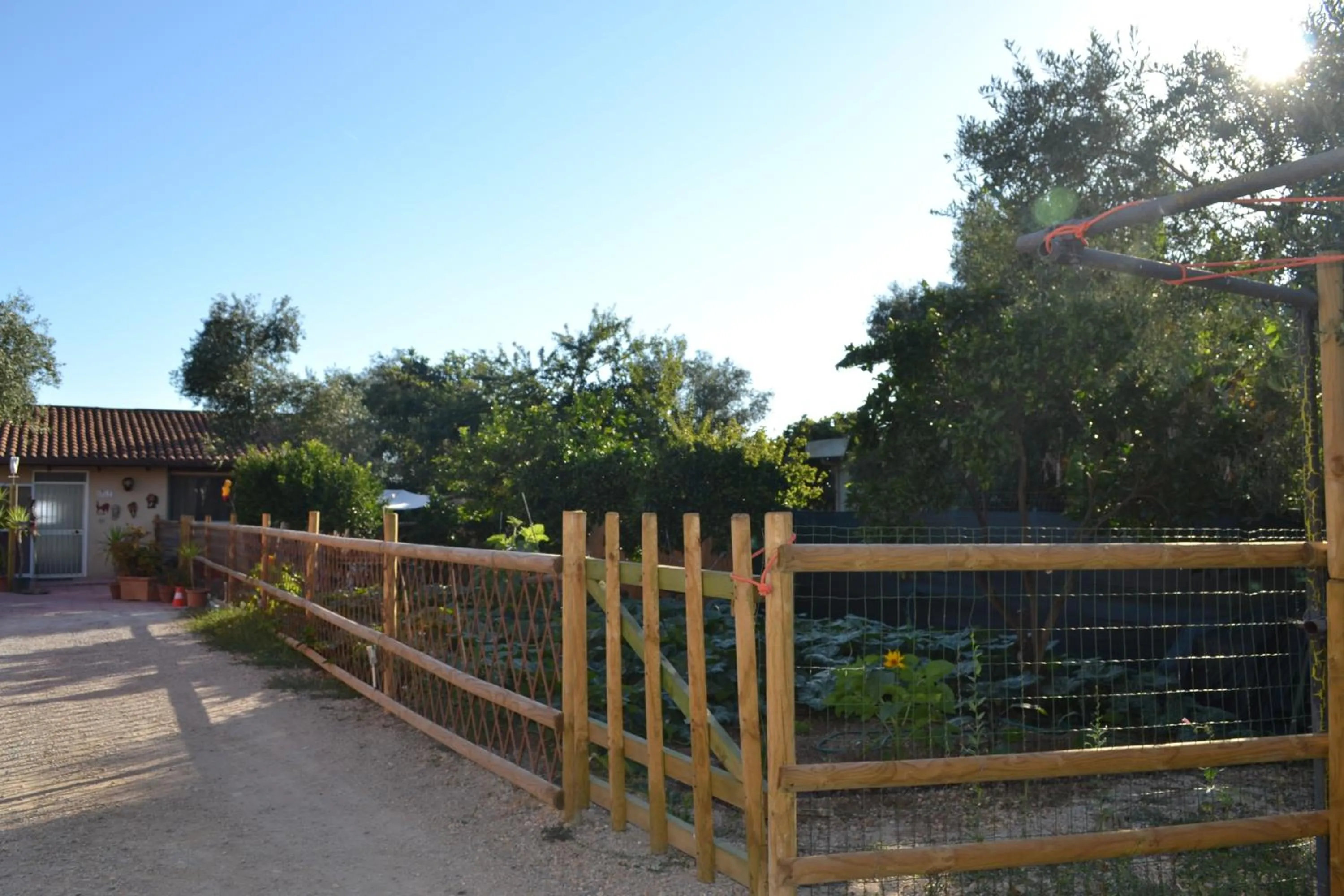 Garden in B&B l'Antropologo