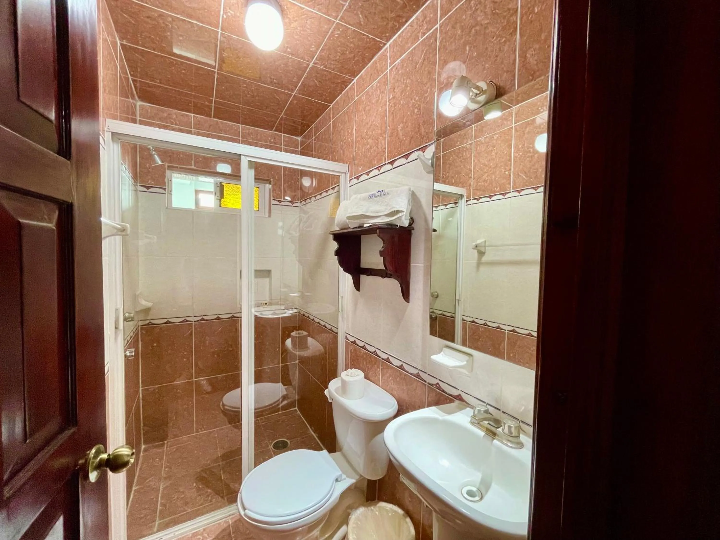 Shower in Hotel Puebla Plaza