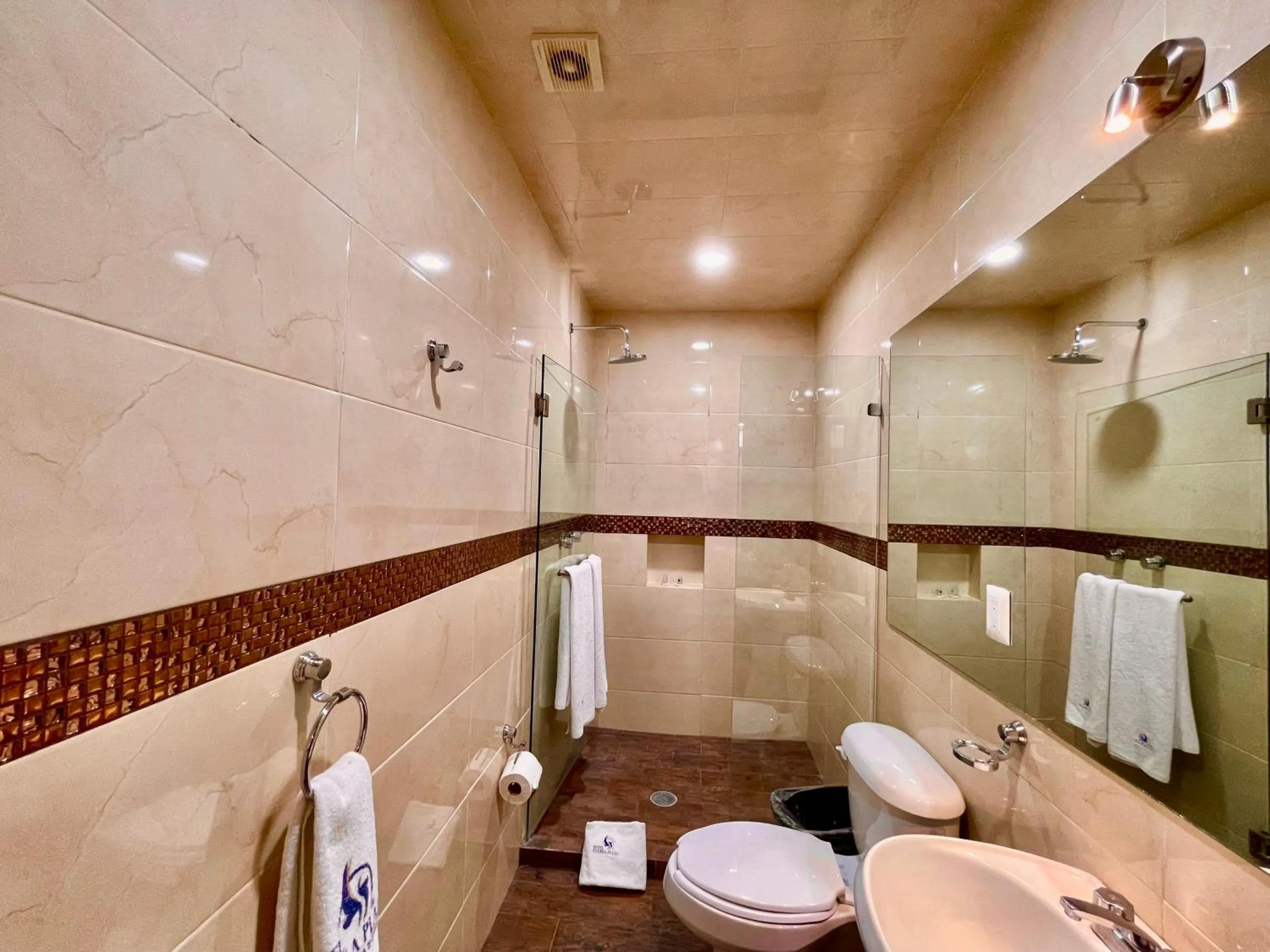 Shower in Hotel Puebla Plaza