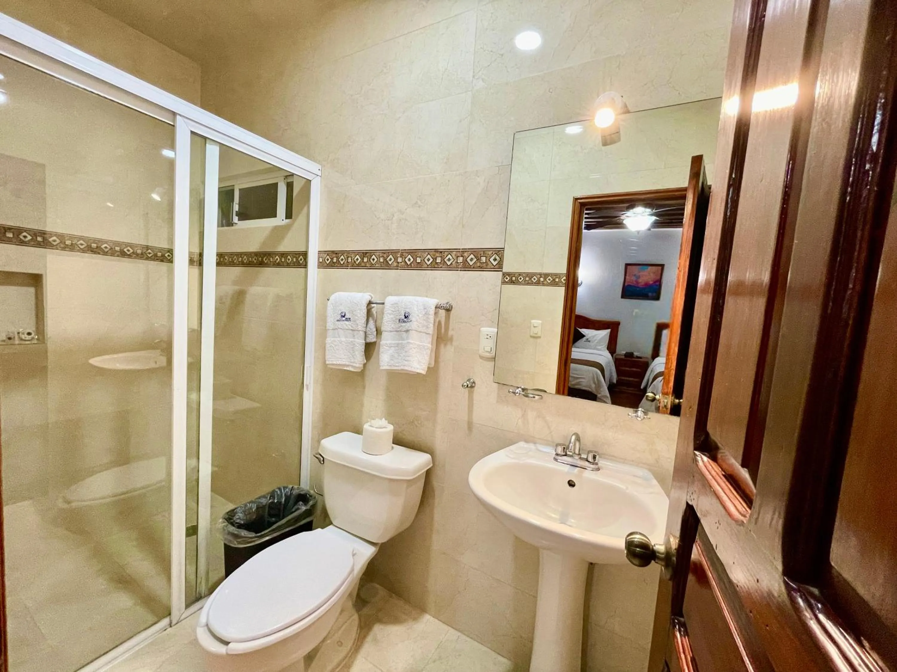 Shower in Hotel Puebla Plaza