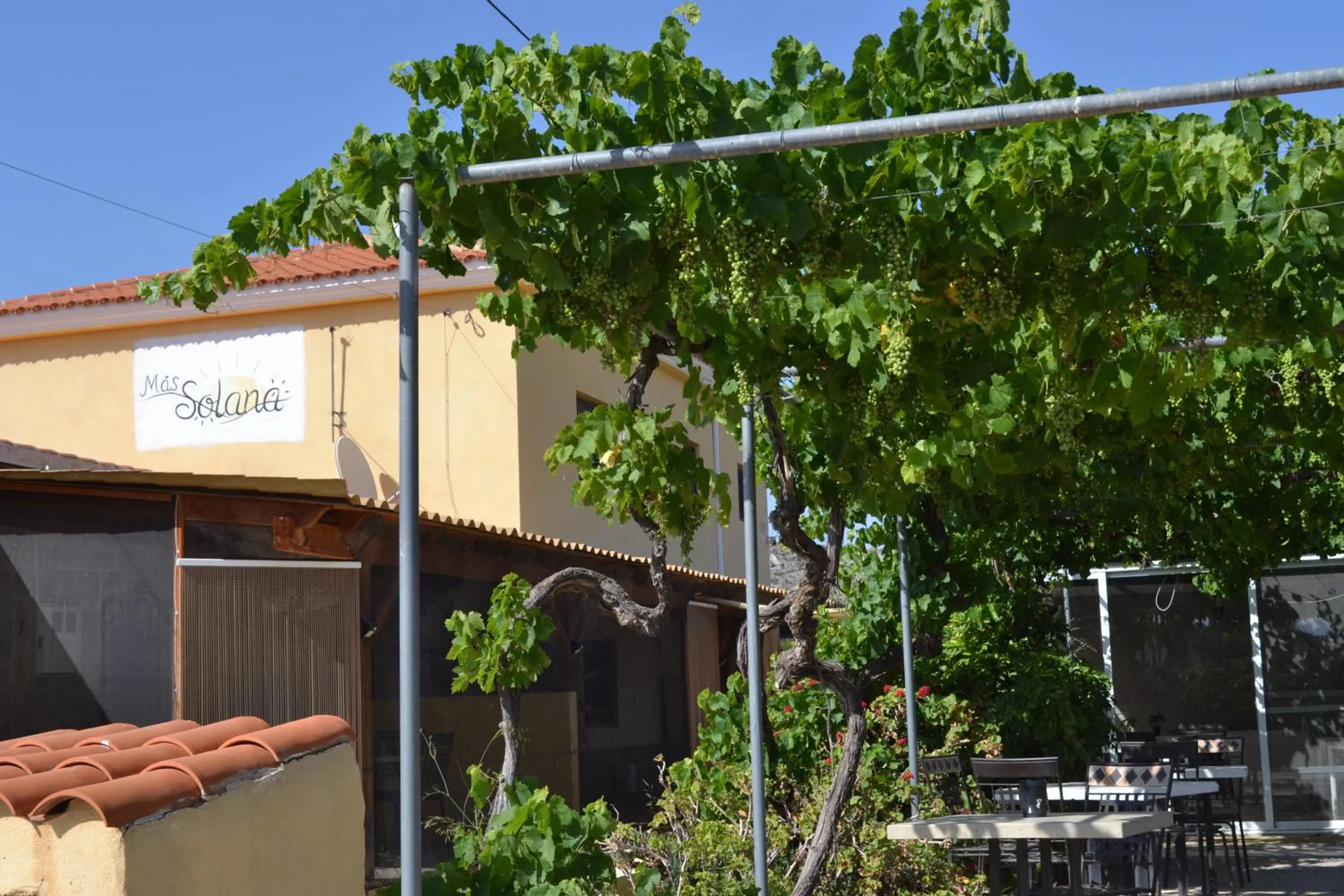 Facade/entrance in Mas Solana