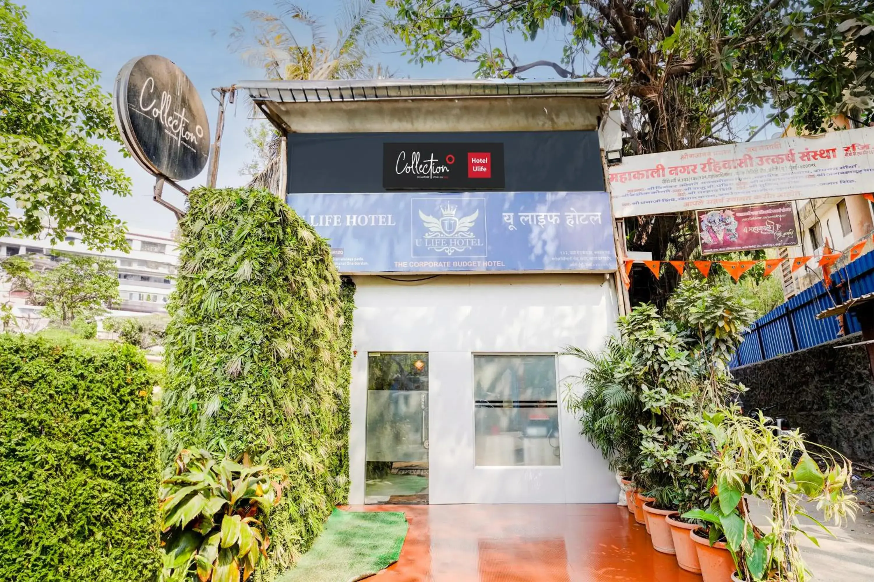 Super Collection O Ulife Super Collection O Ulife