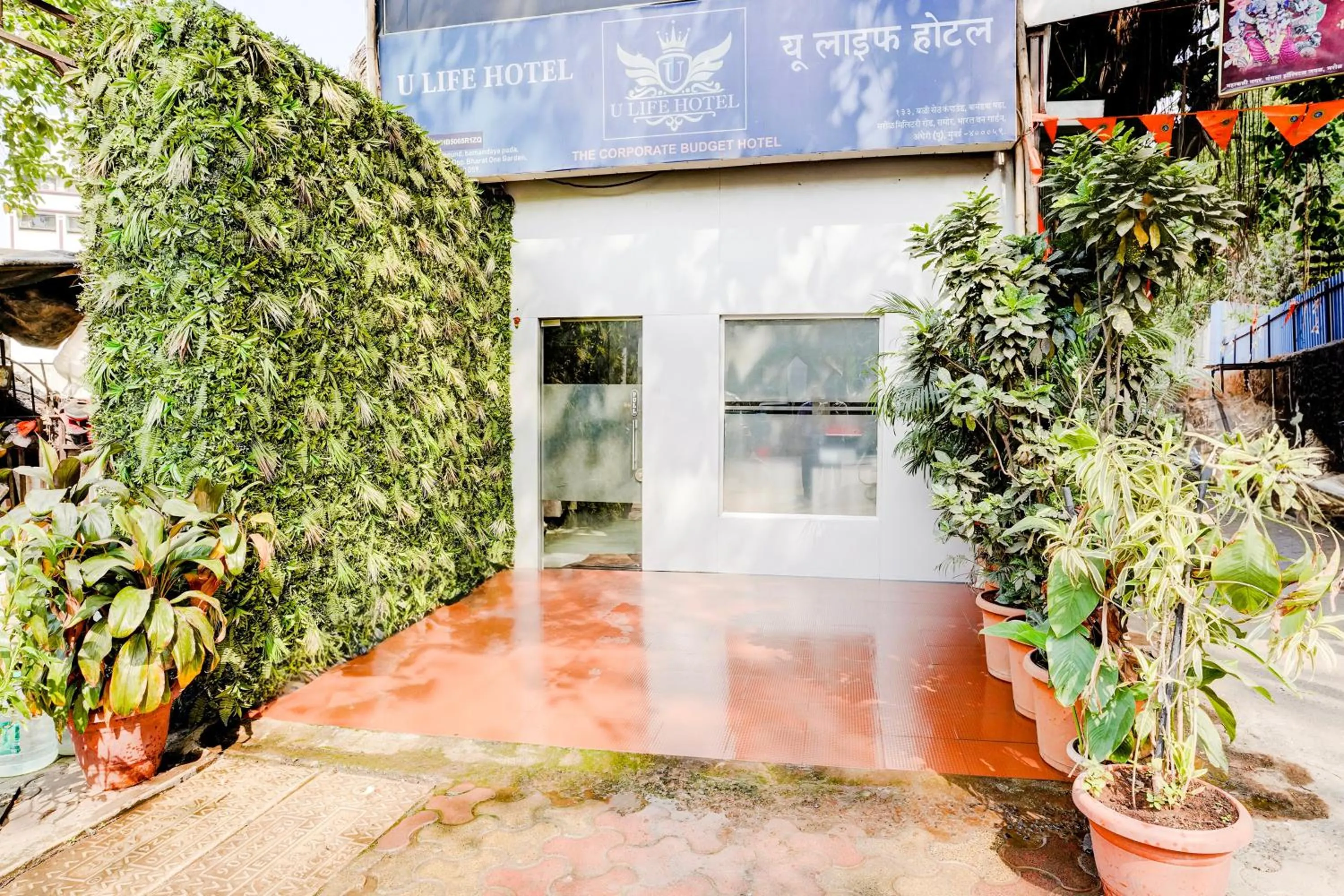 Super Collection O Ulife