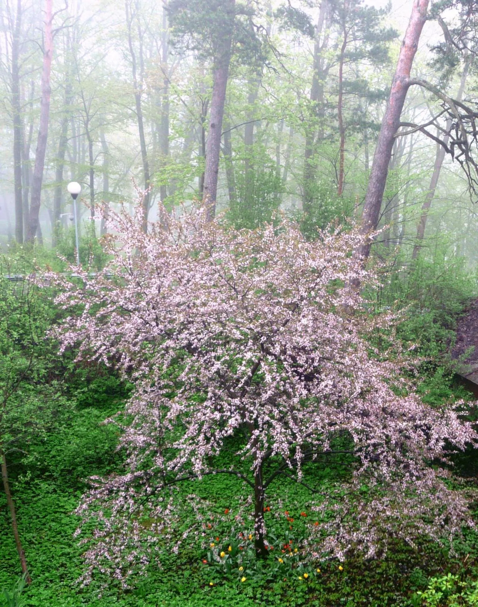 Neighbourhood in Privātviesnīca Zvaigzne