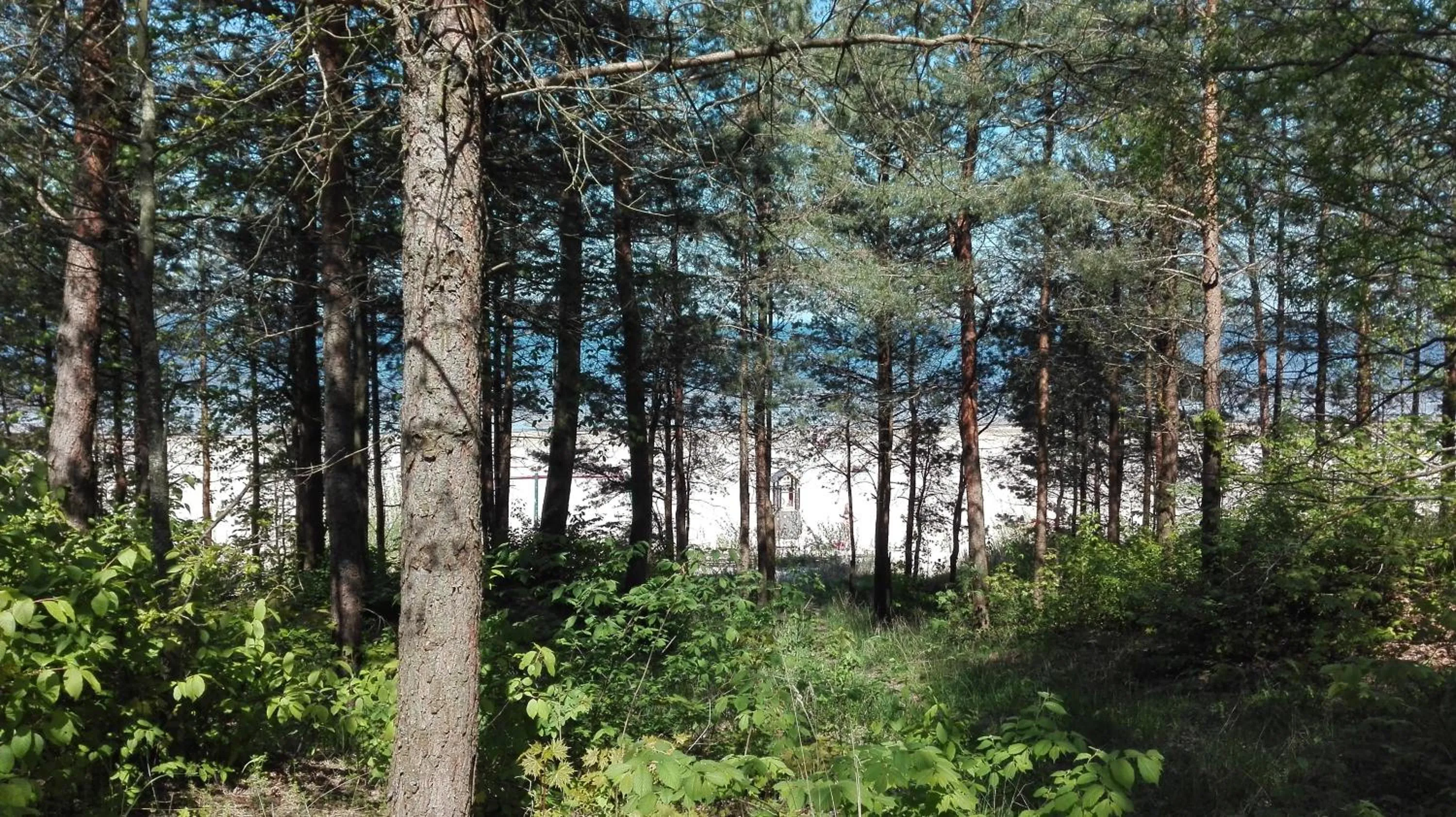 Natural landscape in Privātviesnīca Zvaigzne