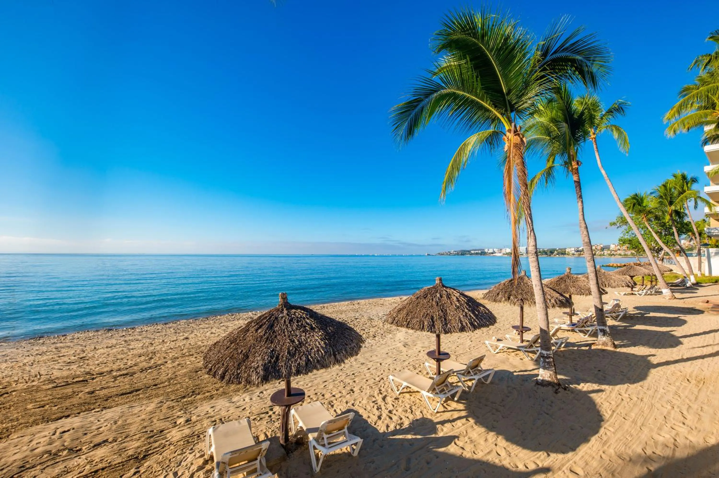 Beach in Vista Vallarta All Suites On The Beach