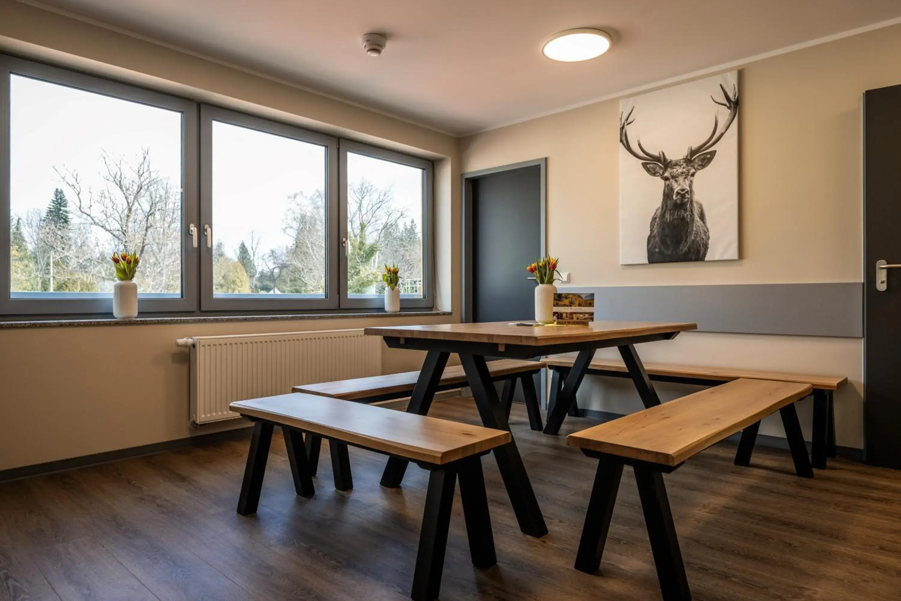 Apartment With Shared Bathroom in ELLY Hostel Apartment With Shared Bathroom in ELLY Hostel