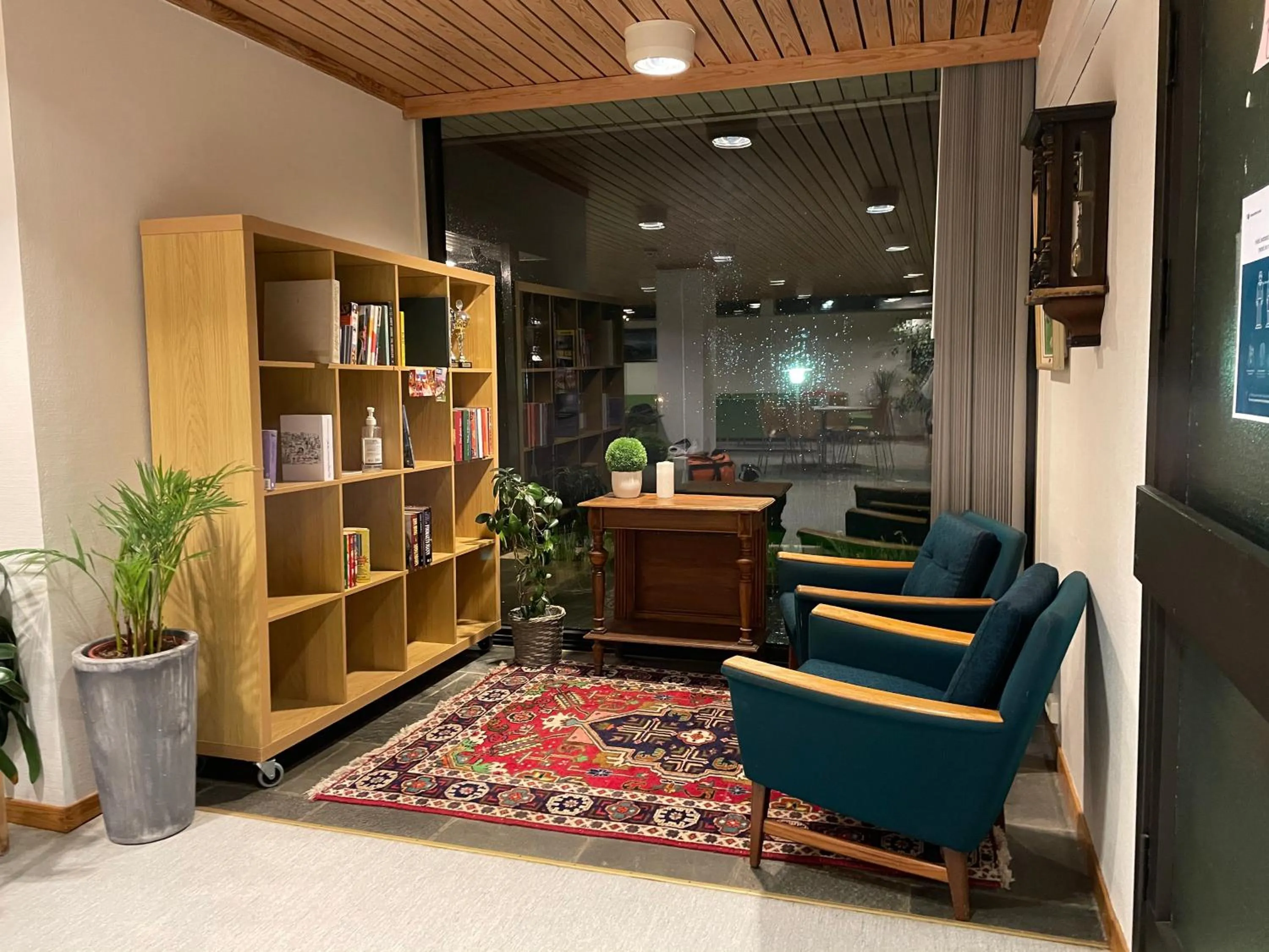 Library in BORG Sommerhotell
