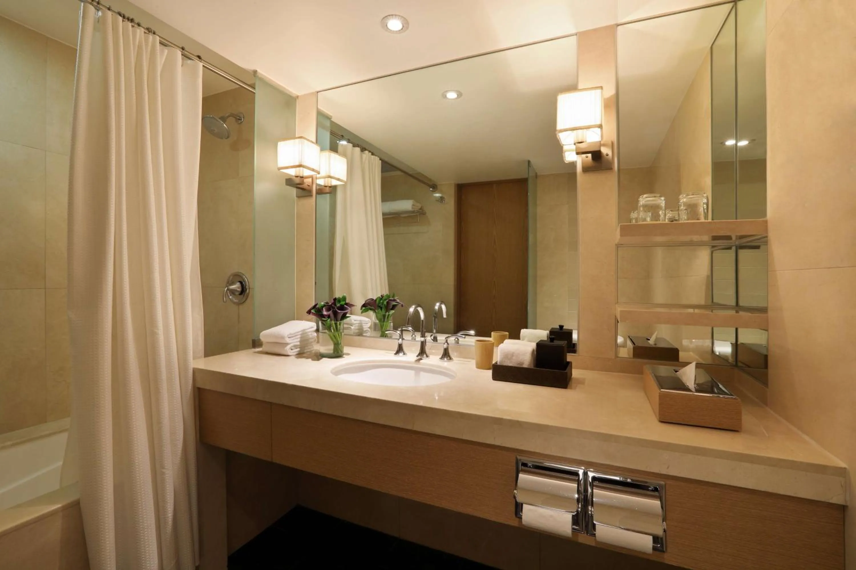 Bathroom in Hyatt Regency Mexico City
