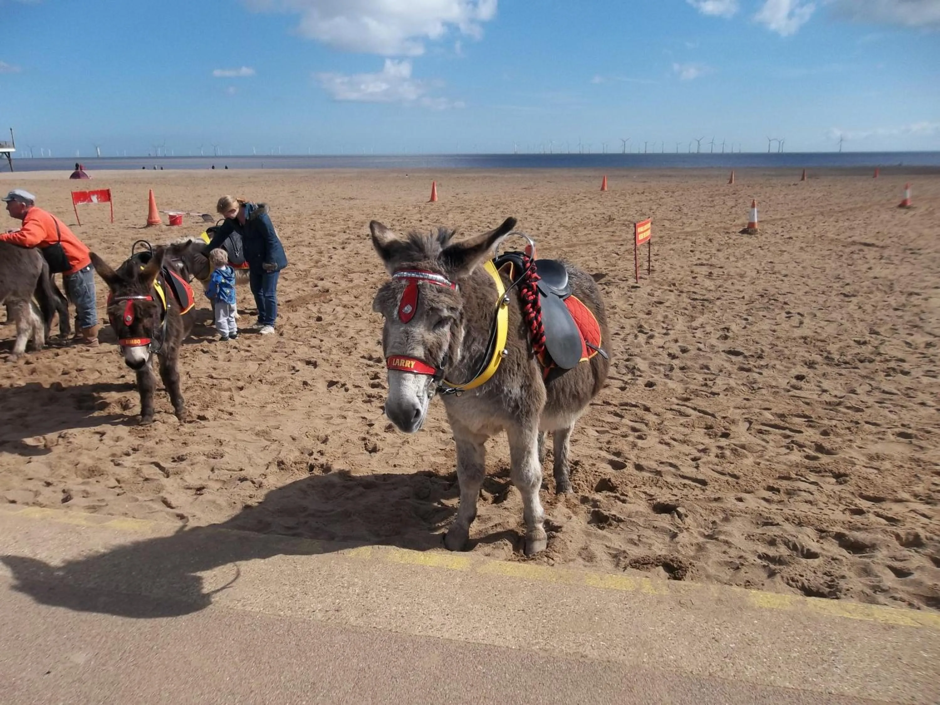 Animals in Chantry Villa Hotel