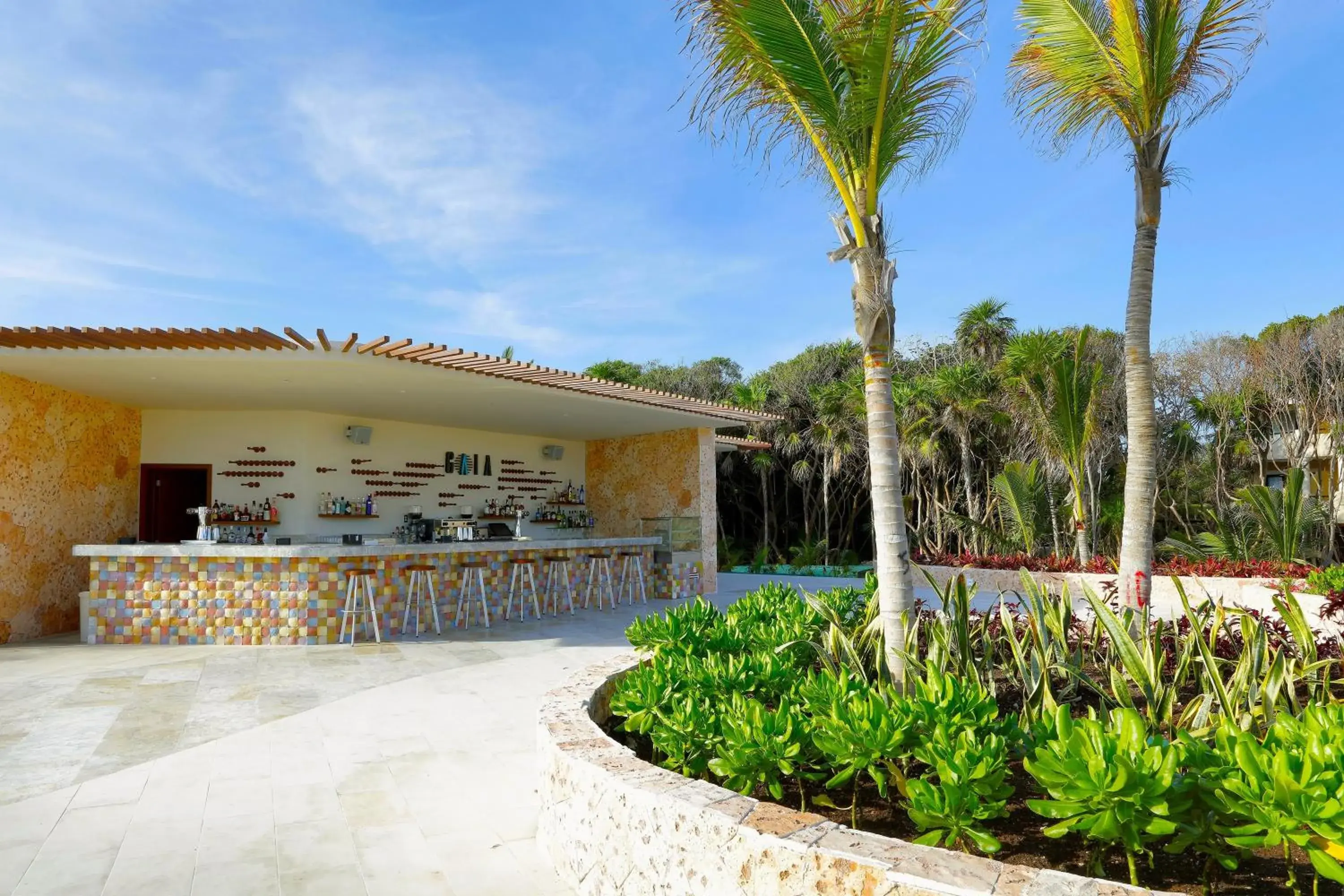 Lounge or bar in TRS Yucatan Hotel - Adults Only Lounge or bar in TRS Yucatan Hotel - Adults Only