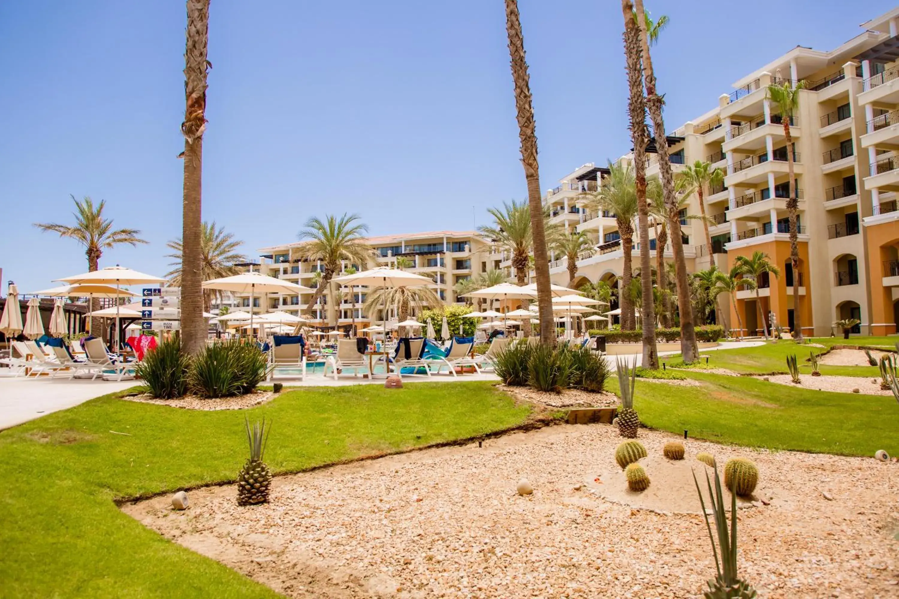 Garden view in Casa Dorada Los Cabos Resort & Spa Garden view in Casa Dorada Los Cabos Resort & Spa