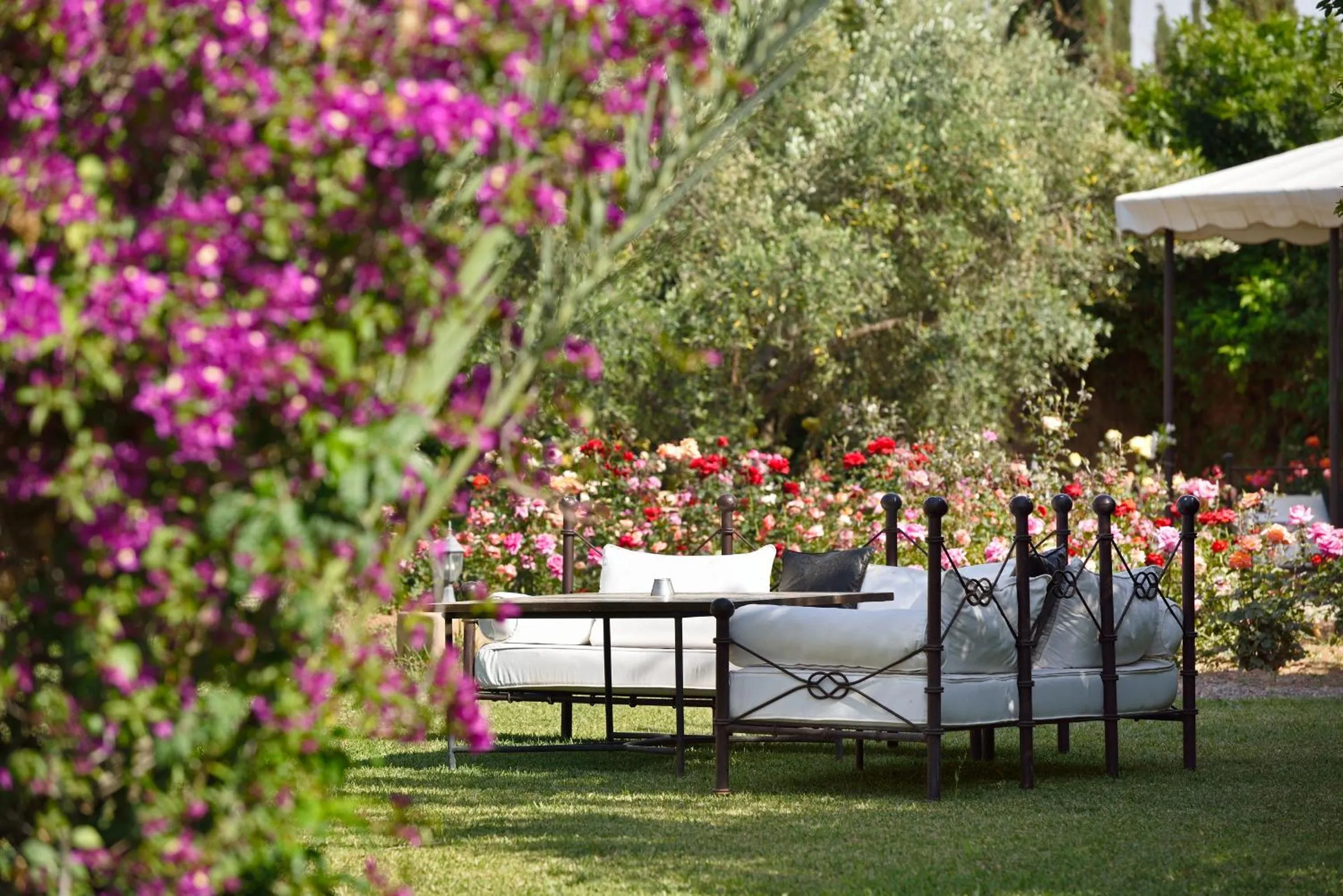Garden in Villa Dinari