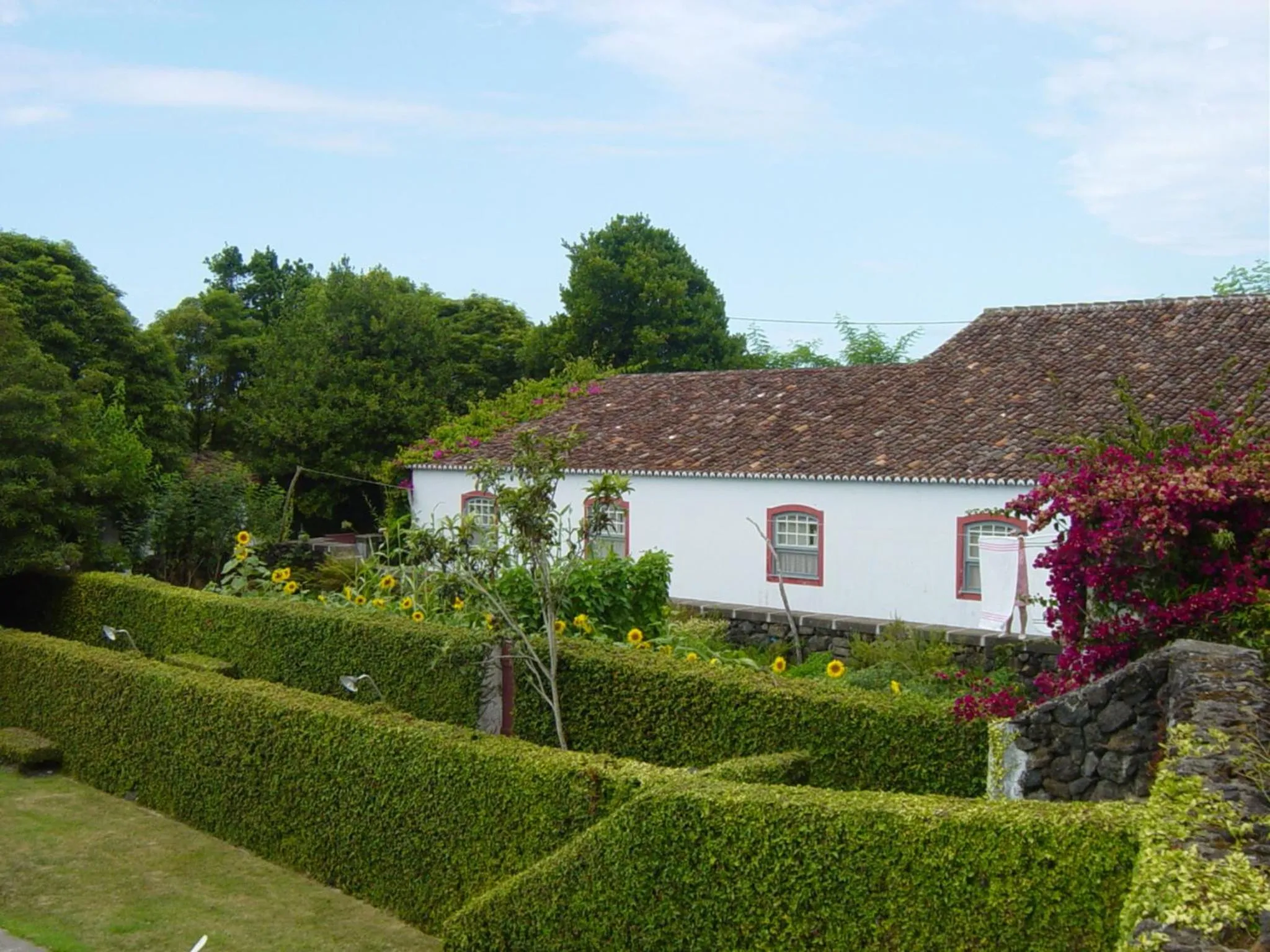 Facade/entrance in Quinta Do Martelo
