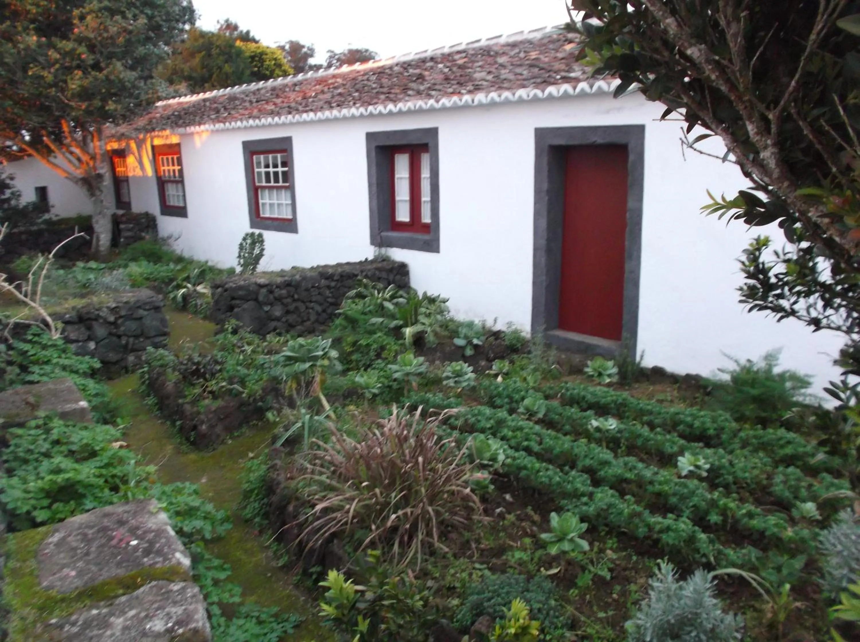 Garden in Quinta Do Martelo