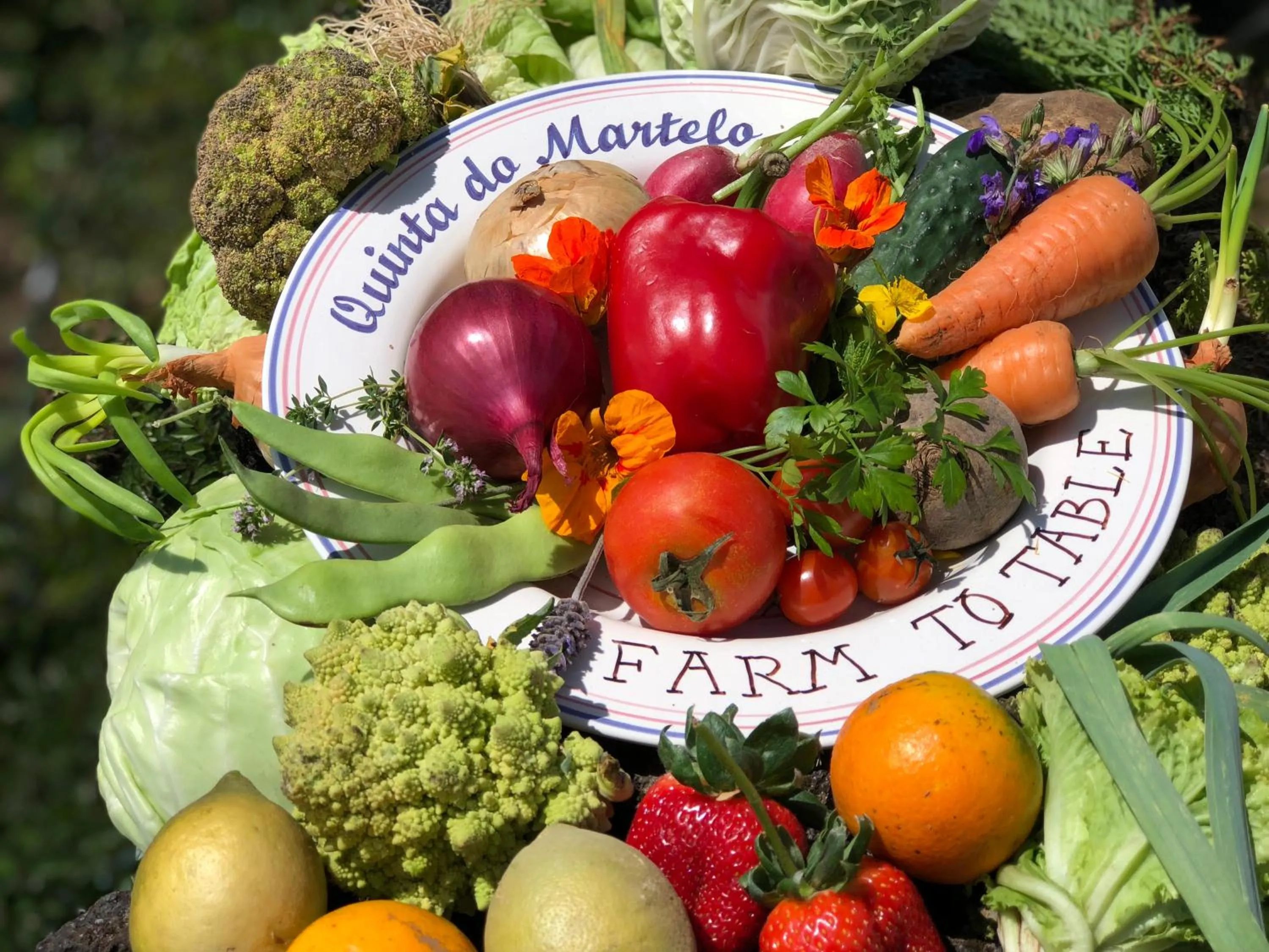 Restaurant/places to eat in Quinta Do Martelo