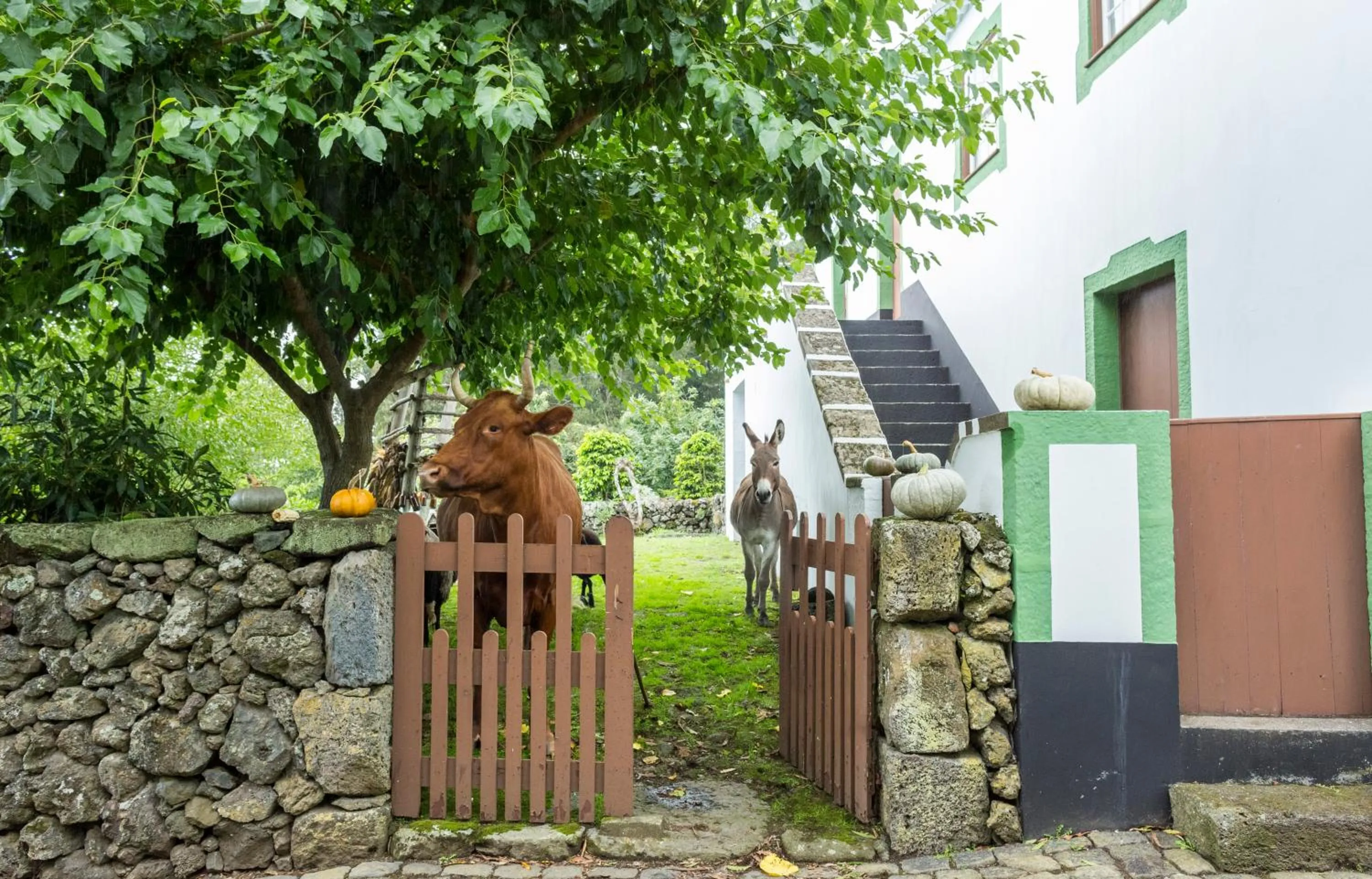 Other in Quinta Do Martelo