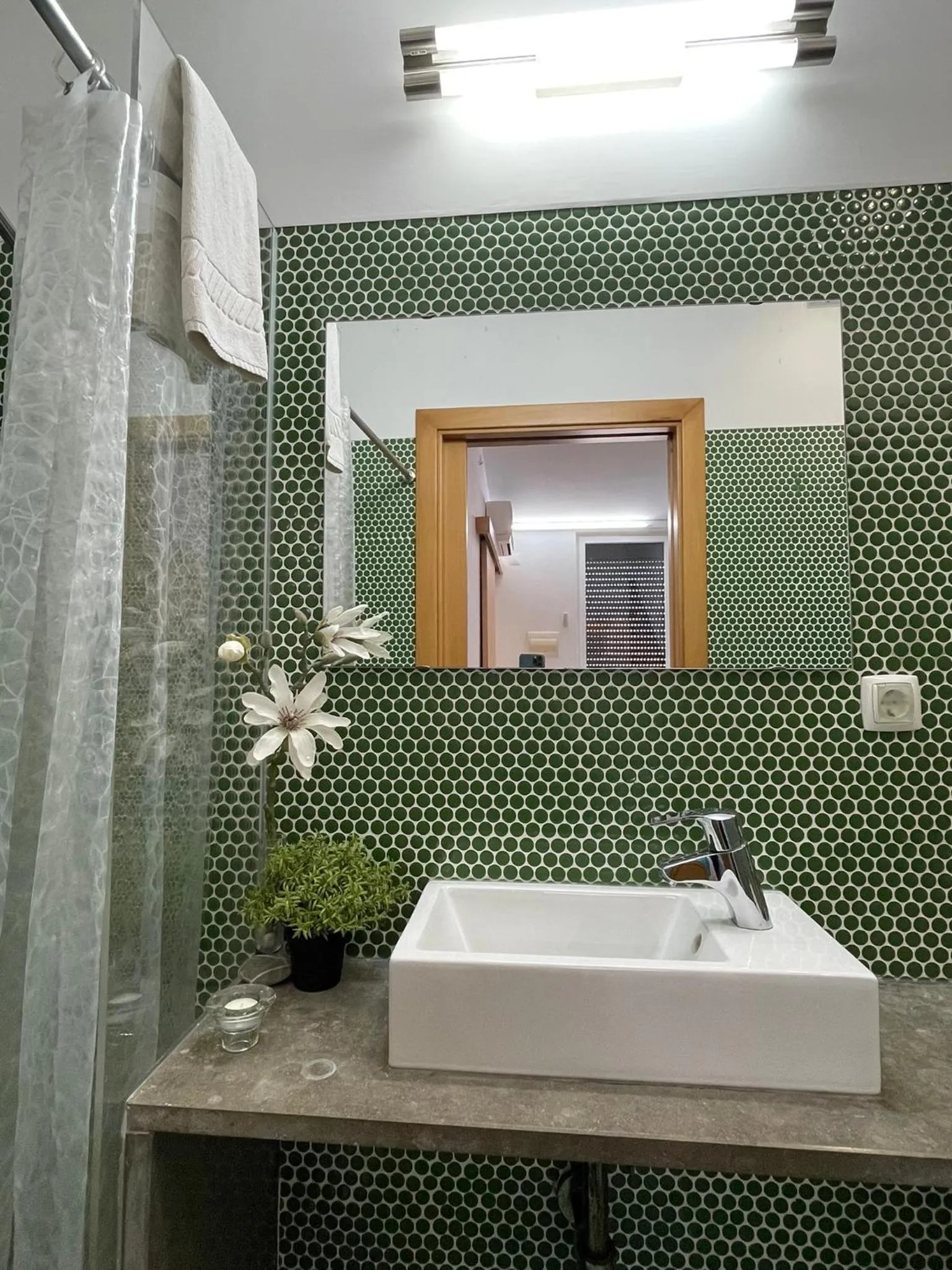 Born To Stay In Milfontes