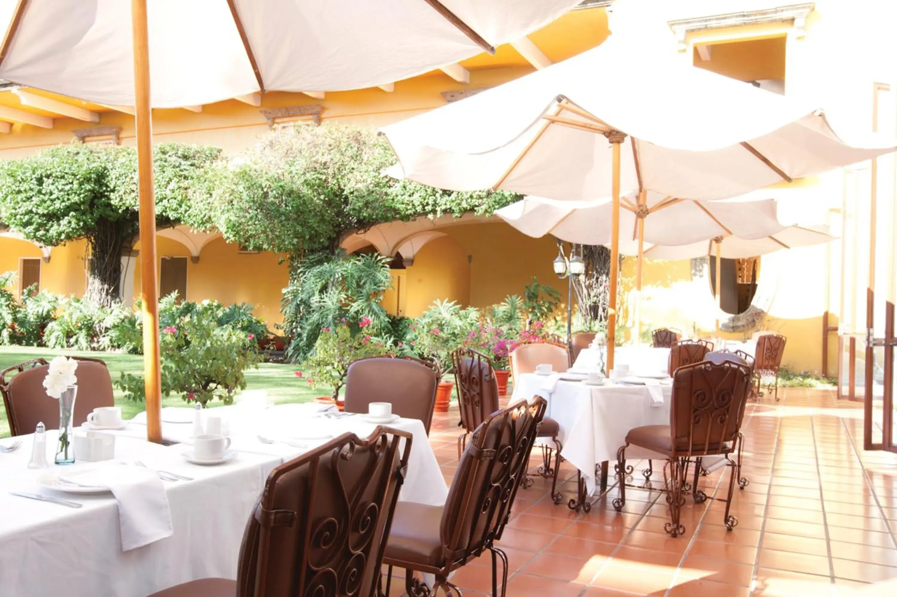 Restaurant/Places to Eat in Mision Guadalajara