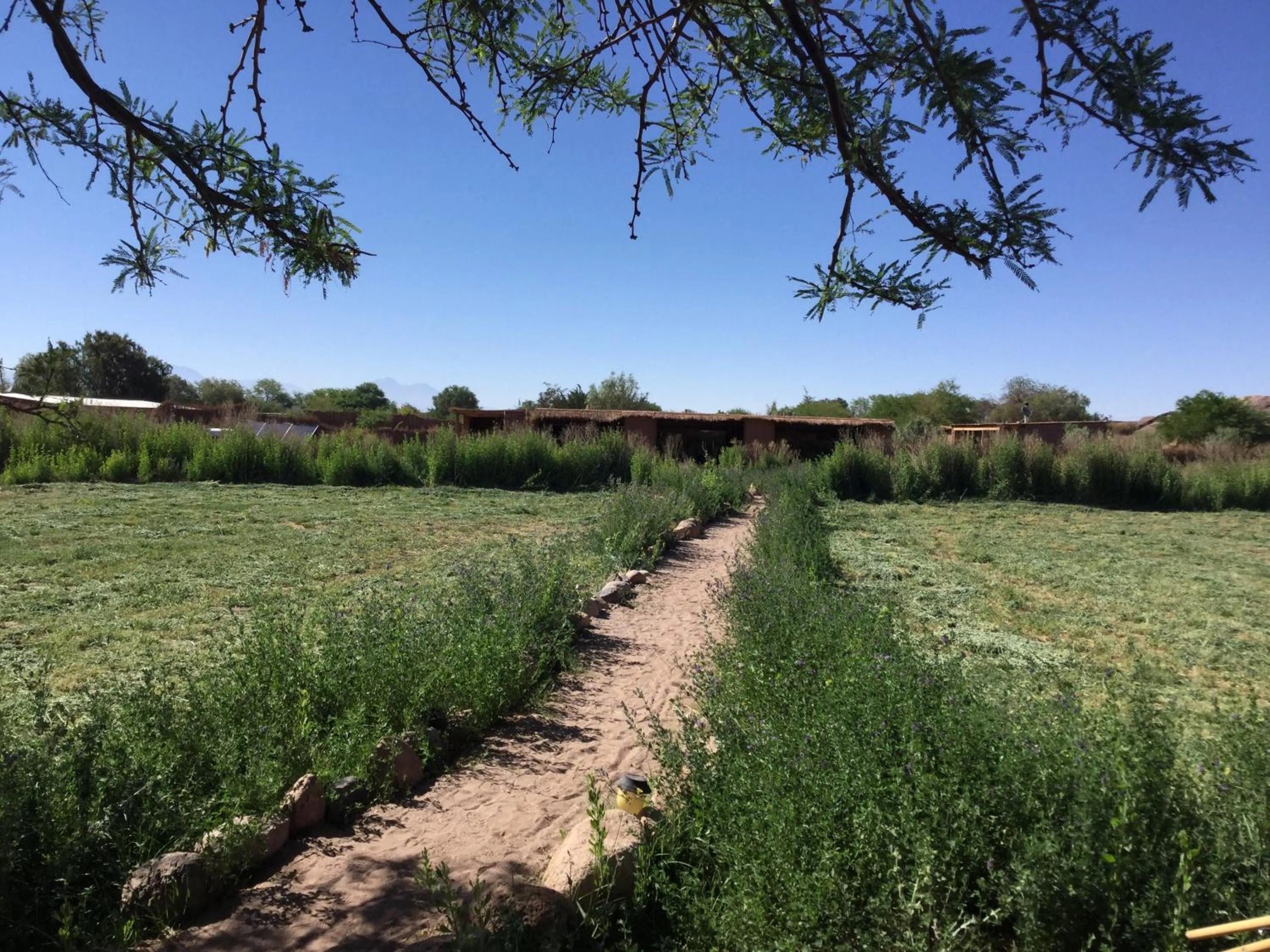 Eco-Lodge El Andinista