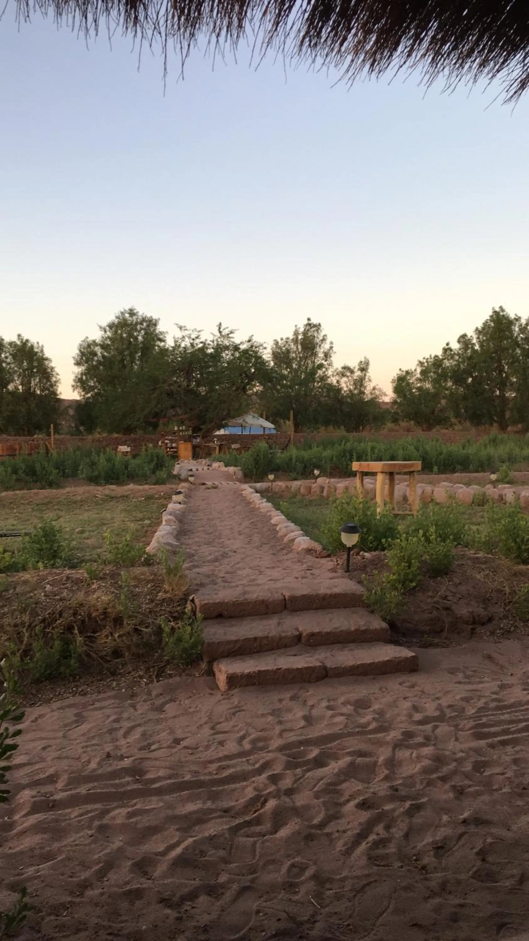 Garden in Eco-Lodge El Andinista