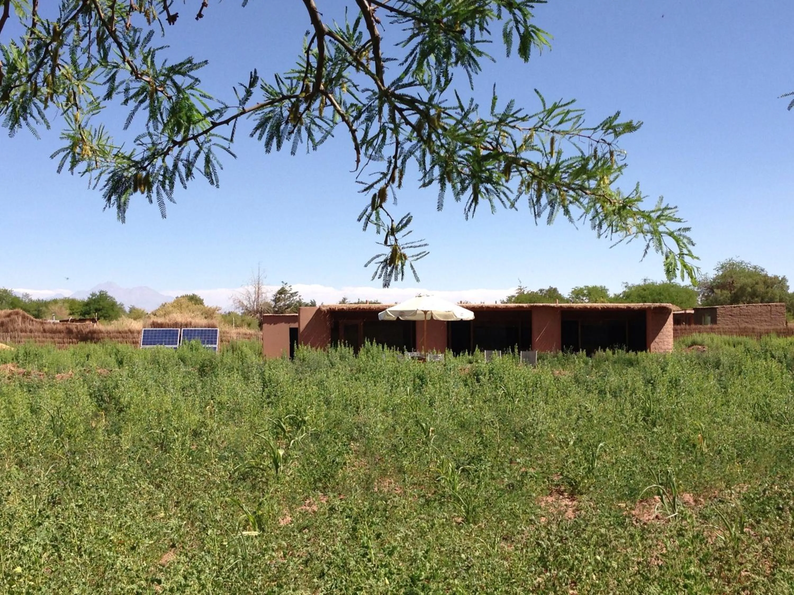 Garden in Eco-Lodge El Andinista