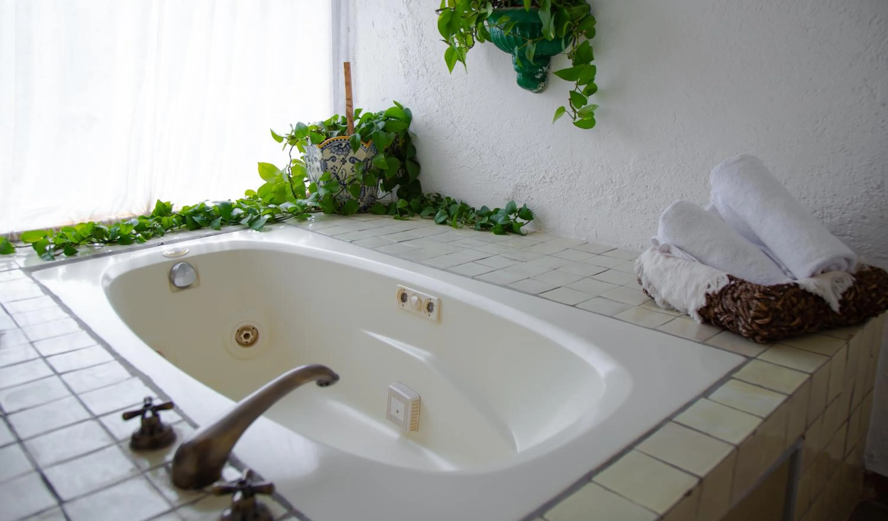 Hot Tub in Misión Guanajuato