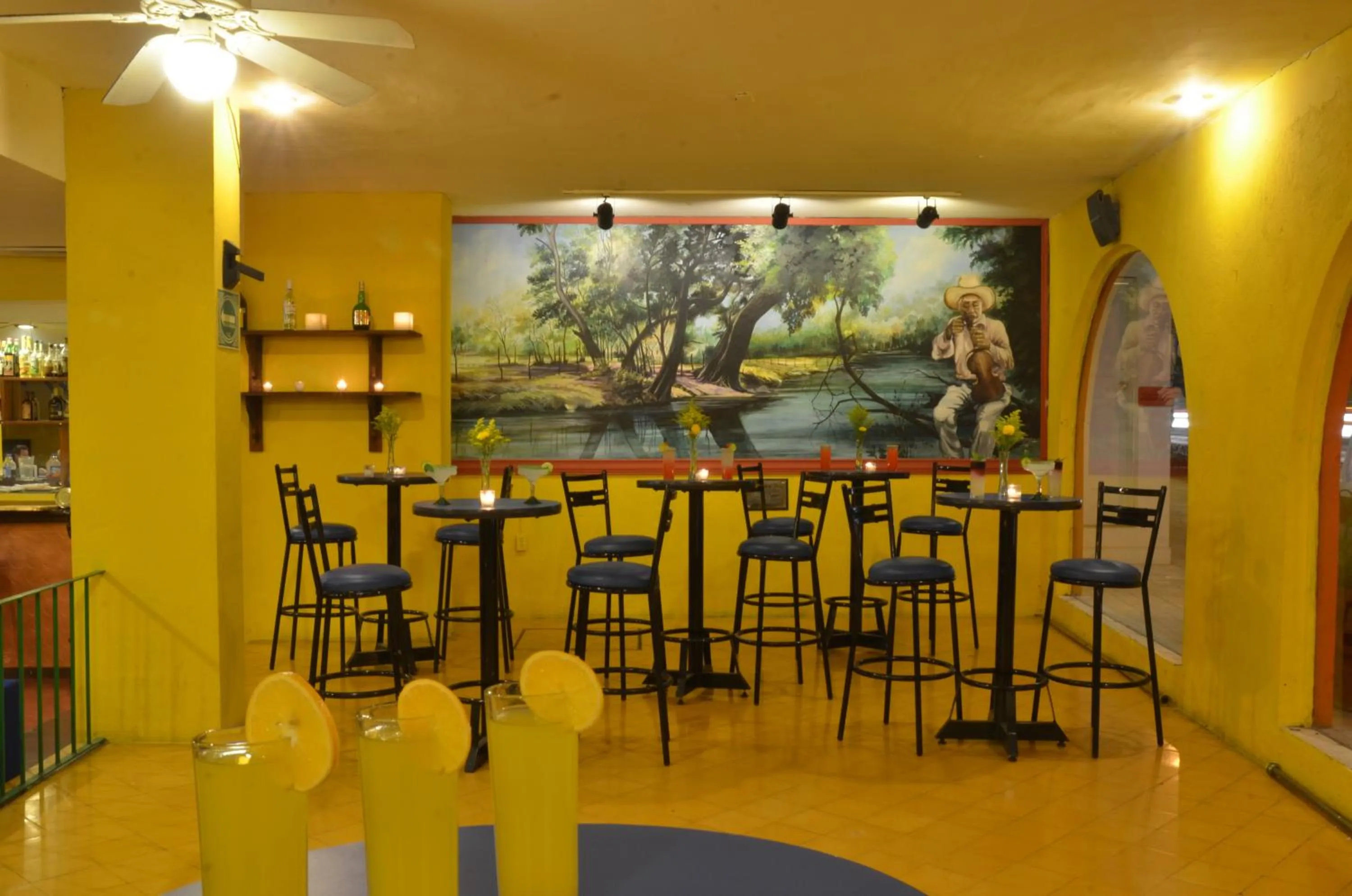 Lounge or bar in Mision Ciudad Valles