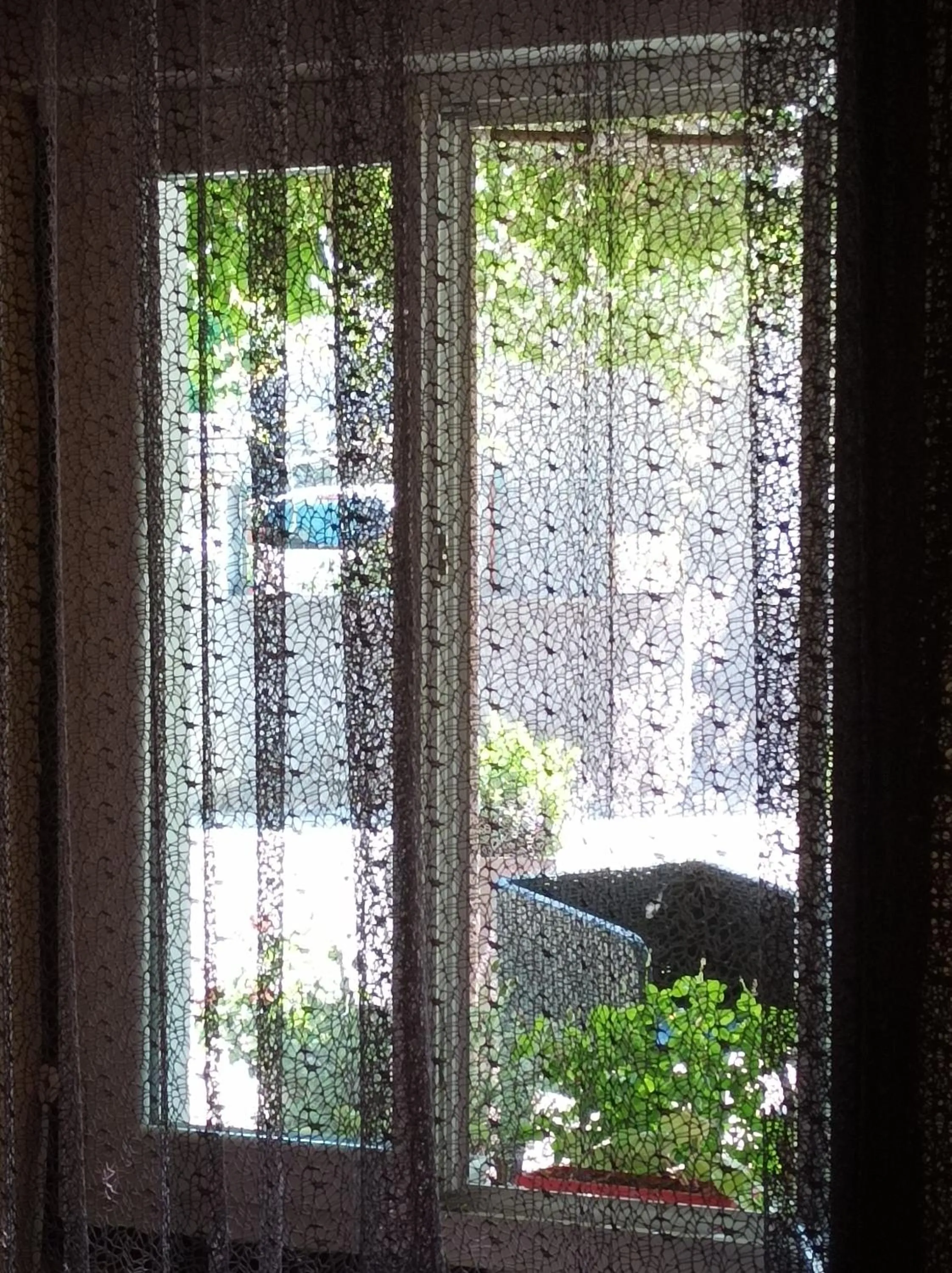 Garden view in L' Auberge Campagnarde, Lourdes