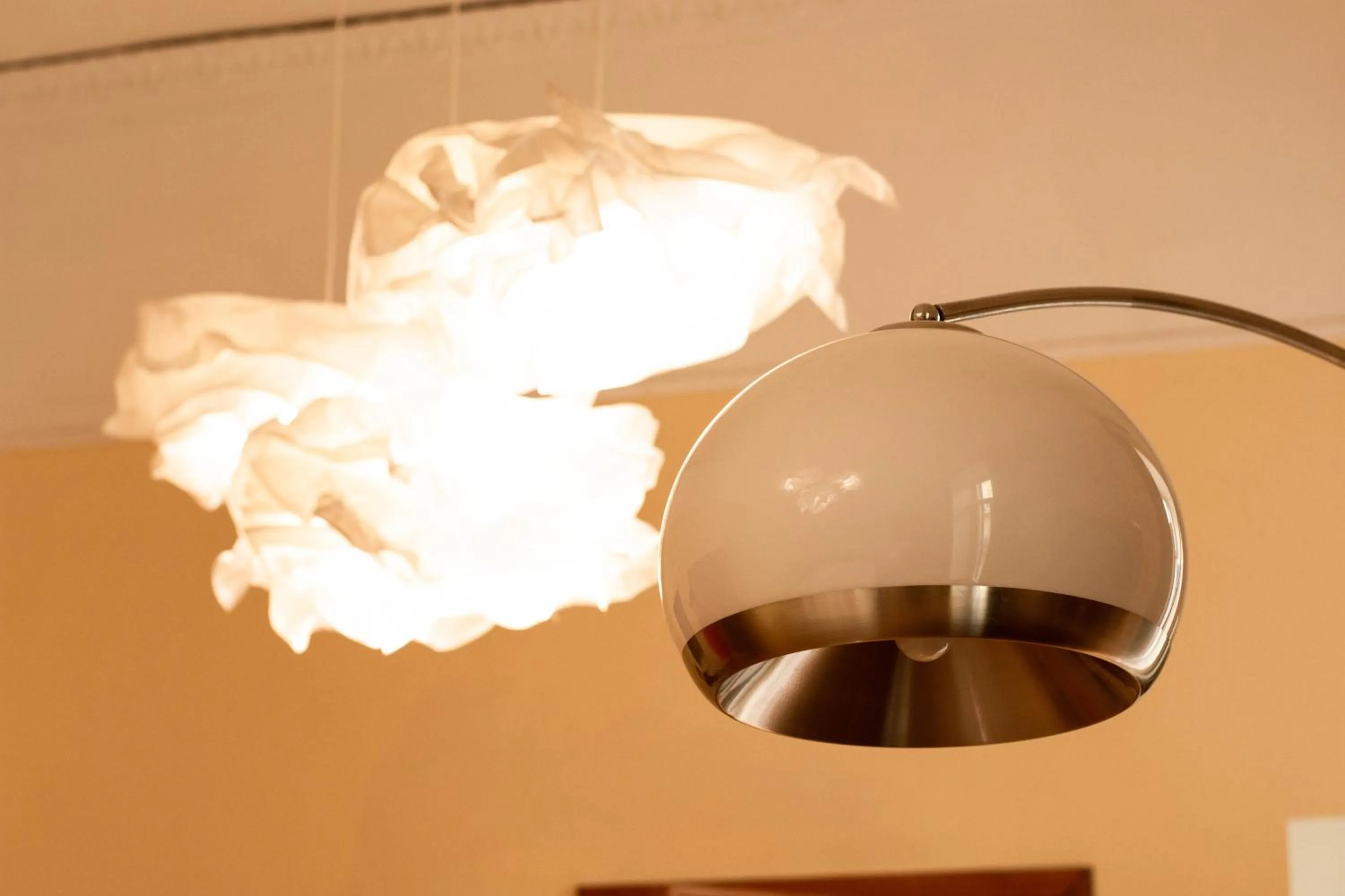 Photo of the whole room in Areamare