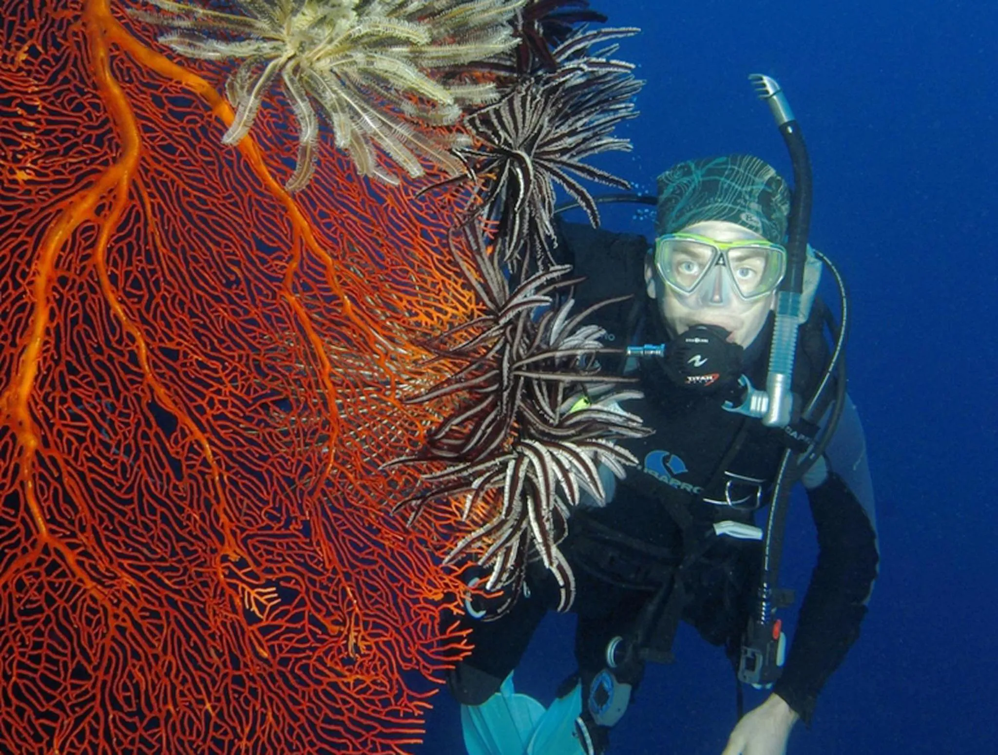 Diving in Beachfront Resort