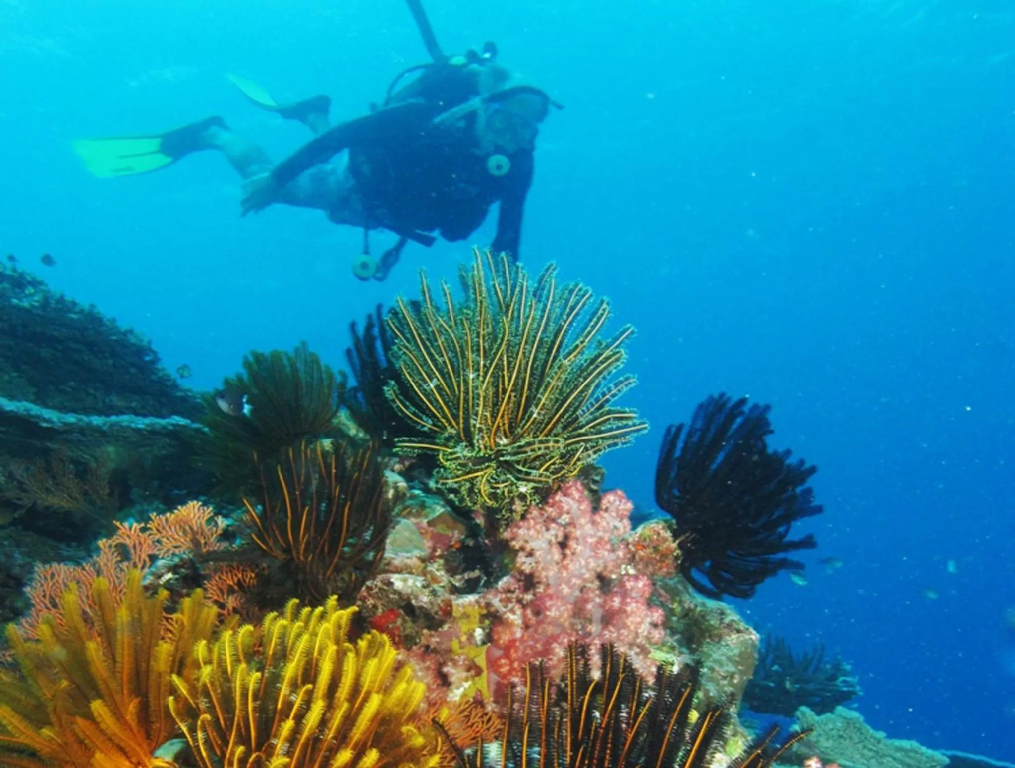 Diving in Beachfront Resort