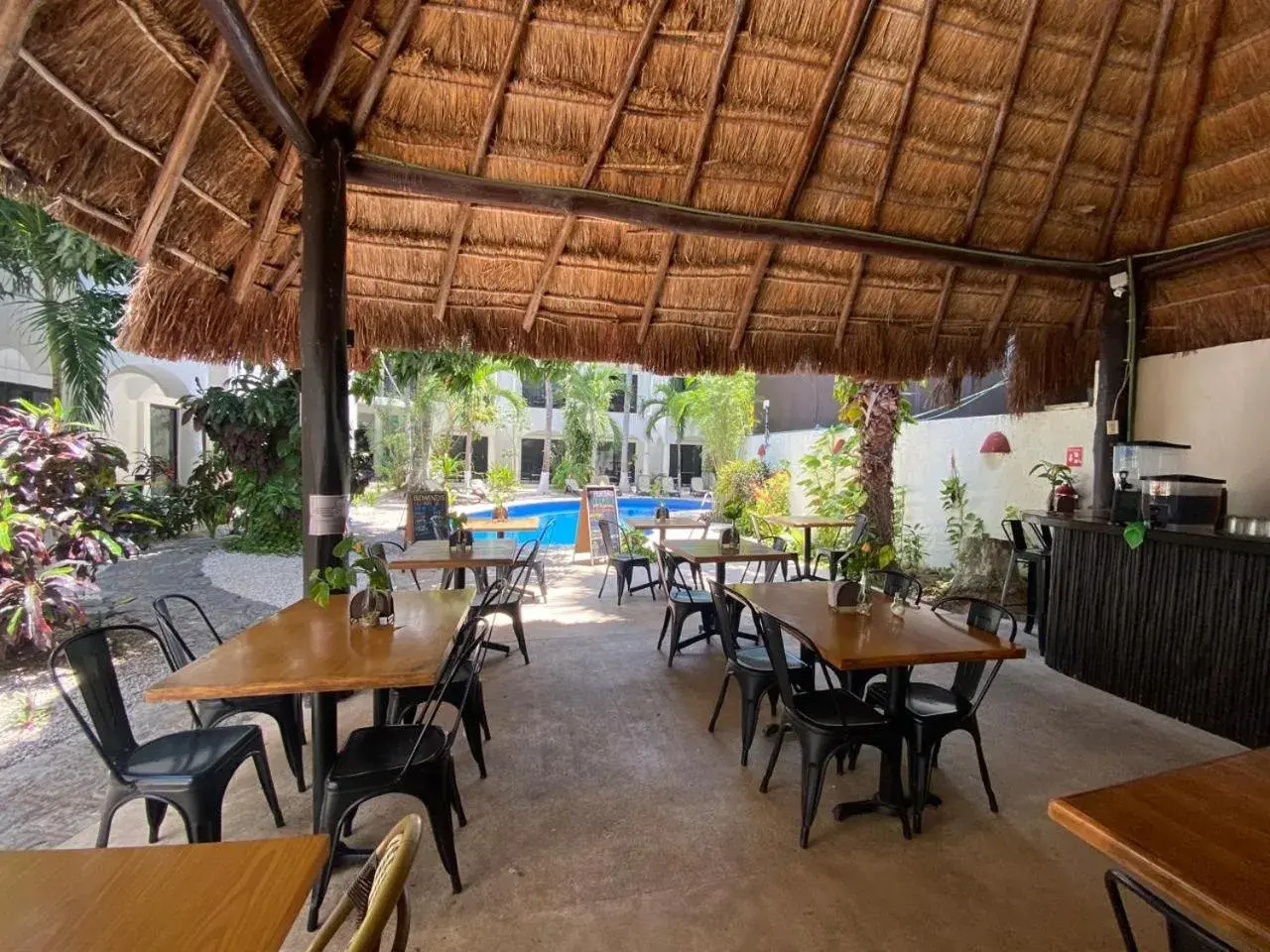 Restaurant/places to eat in Hacienda Paradise Hotel Restaurant/places to eat in Hacienda Paradise Hotel