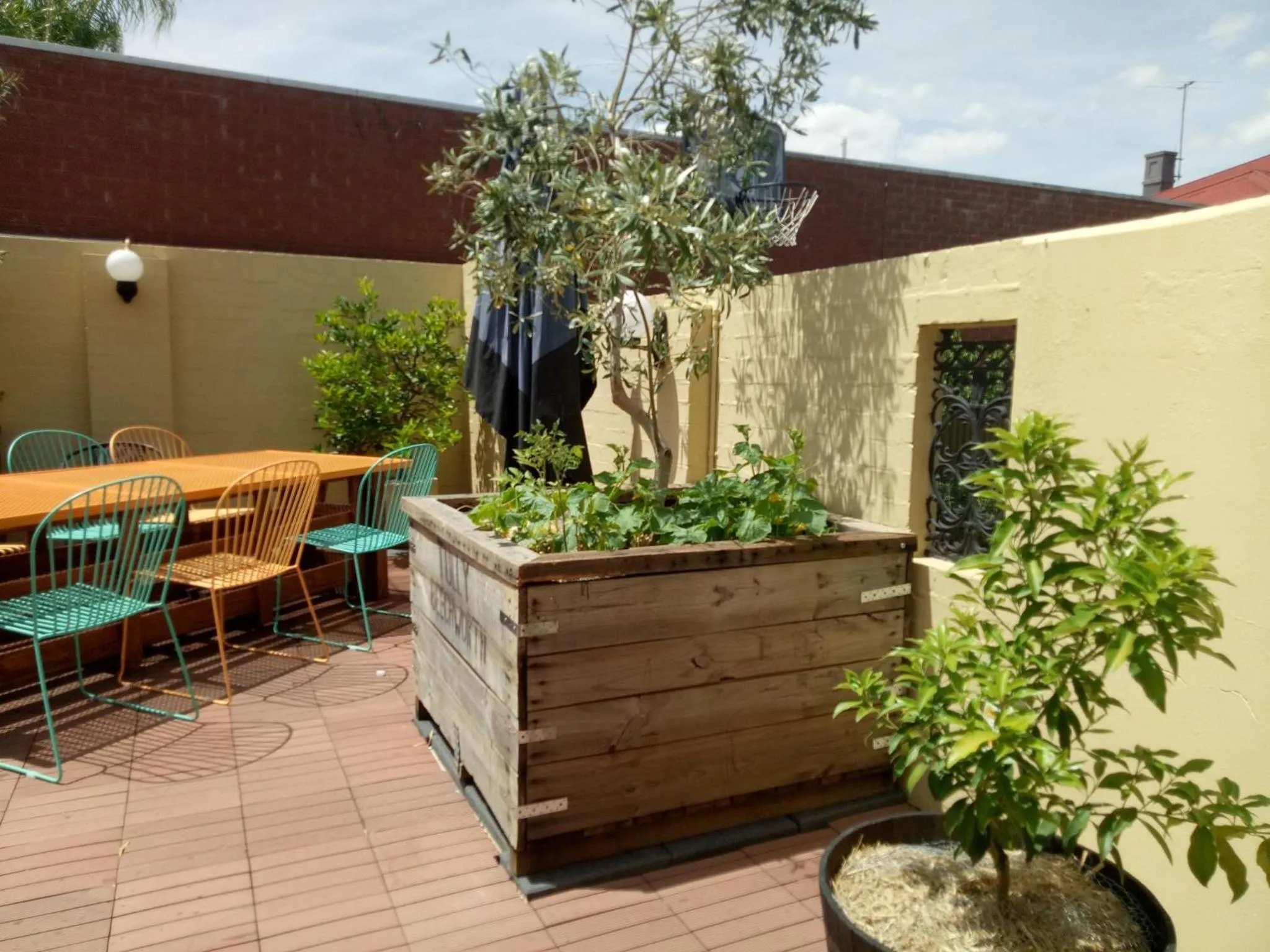 Other in Albury Winsor Park Motor Inn