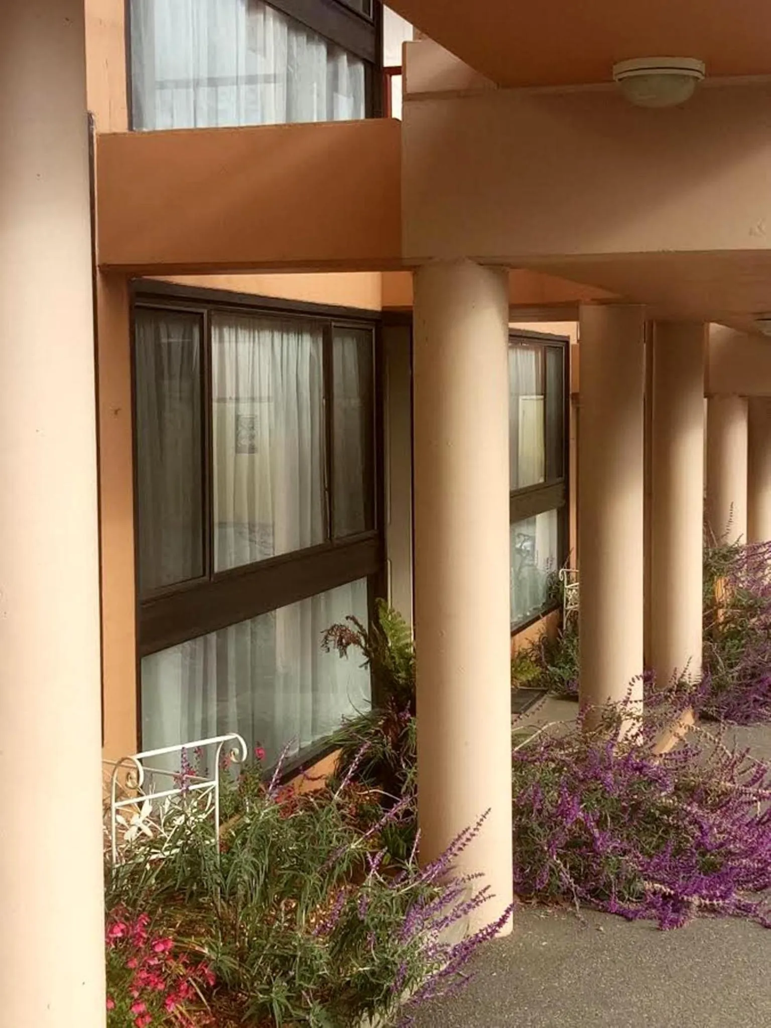 Patio in Albury Winsor Park Motor Inn