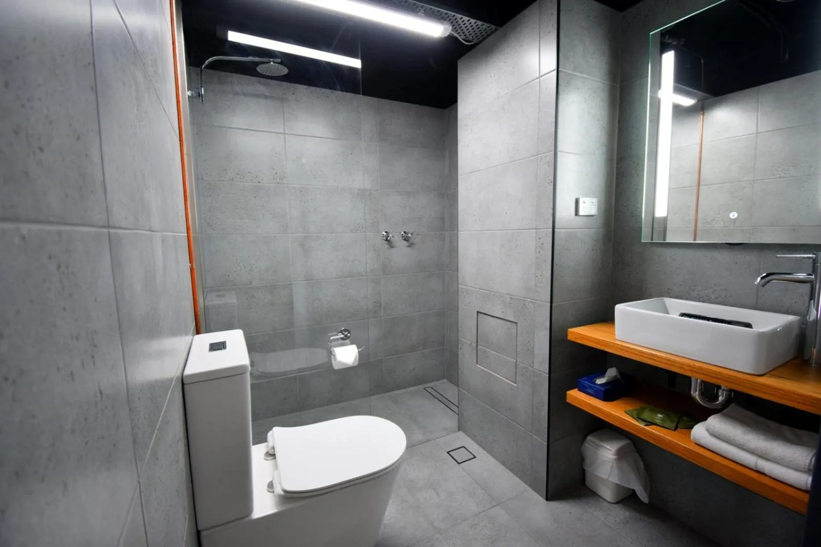 Shower in Albury Winsor Park Motor Inn