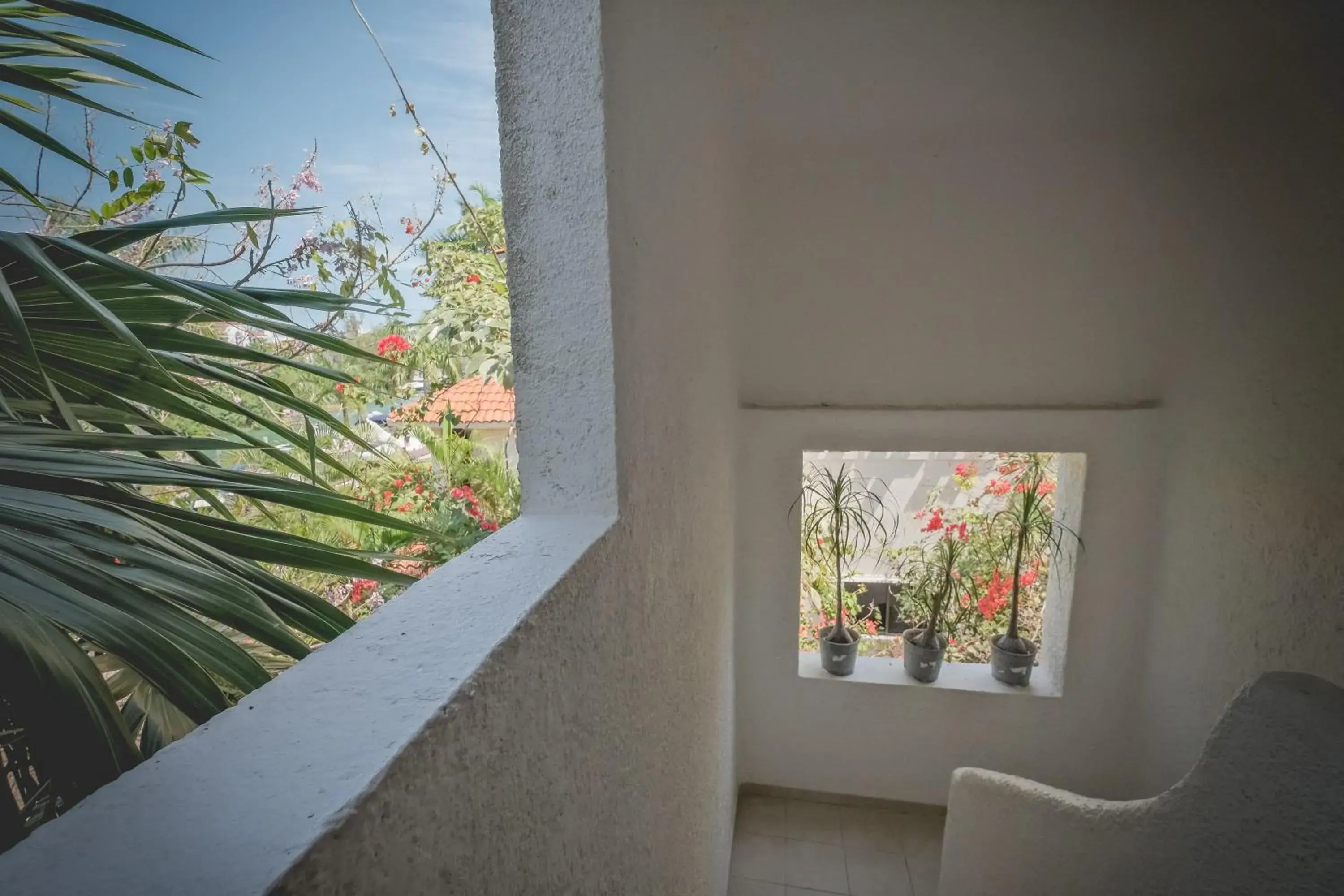 View (from property/room) in Sotavento Hotel & Yacht Club View (from property/room) in Sotavento Hotel & Yacht Club