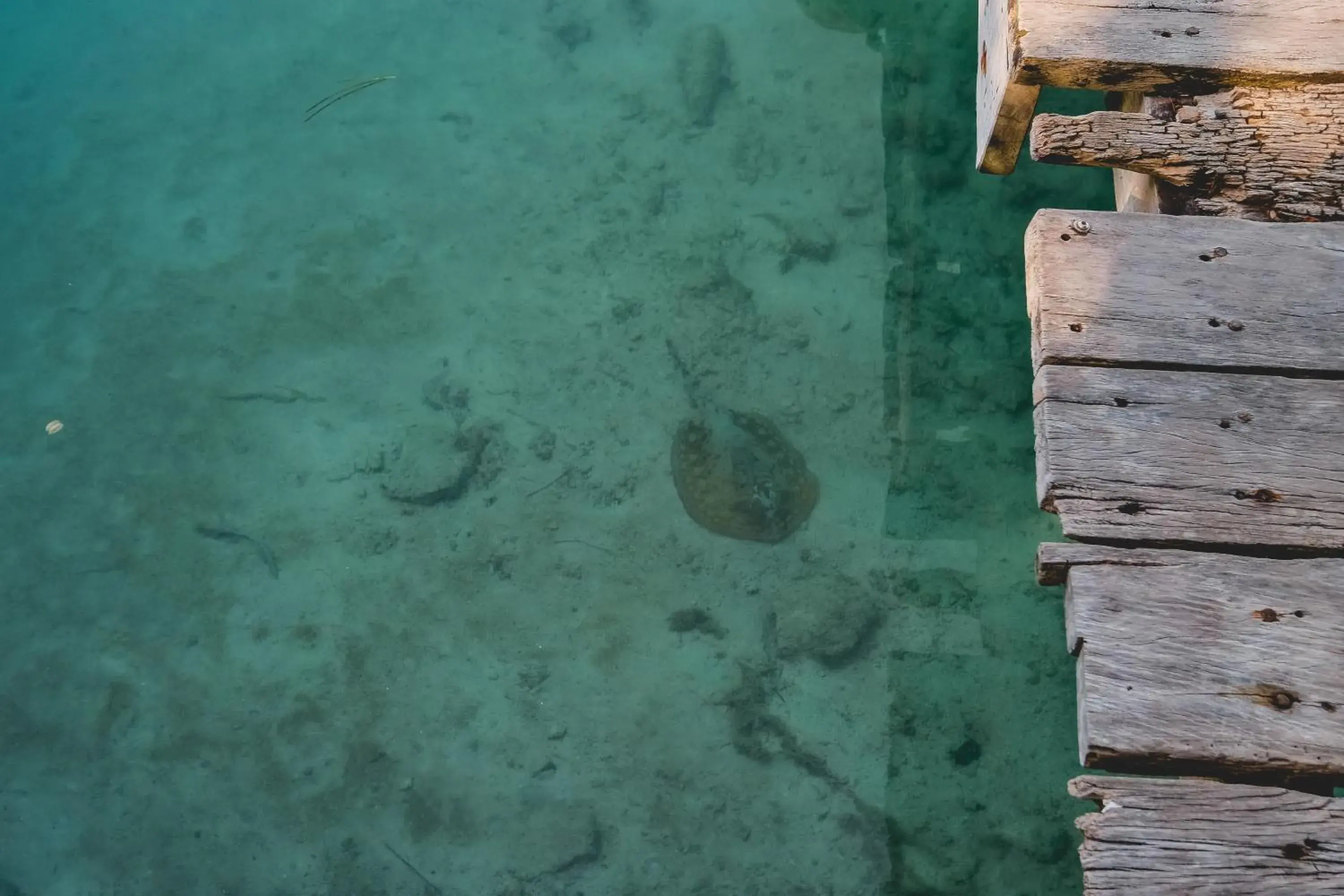 Inner courtyard view in Sotavento Hotel & Yacht Club Inner courtyard view in Sotavento Hotel & Yacht Club