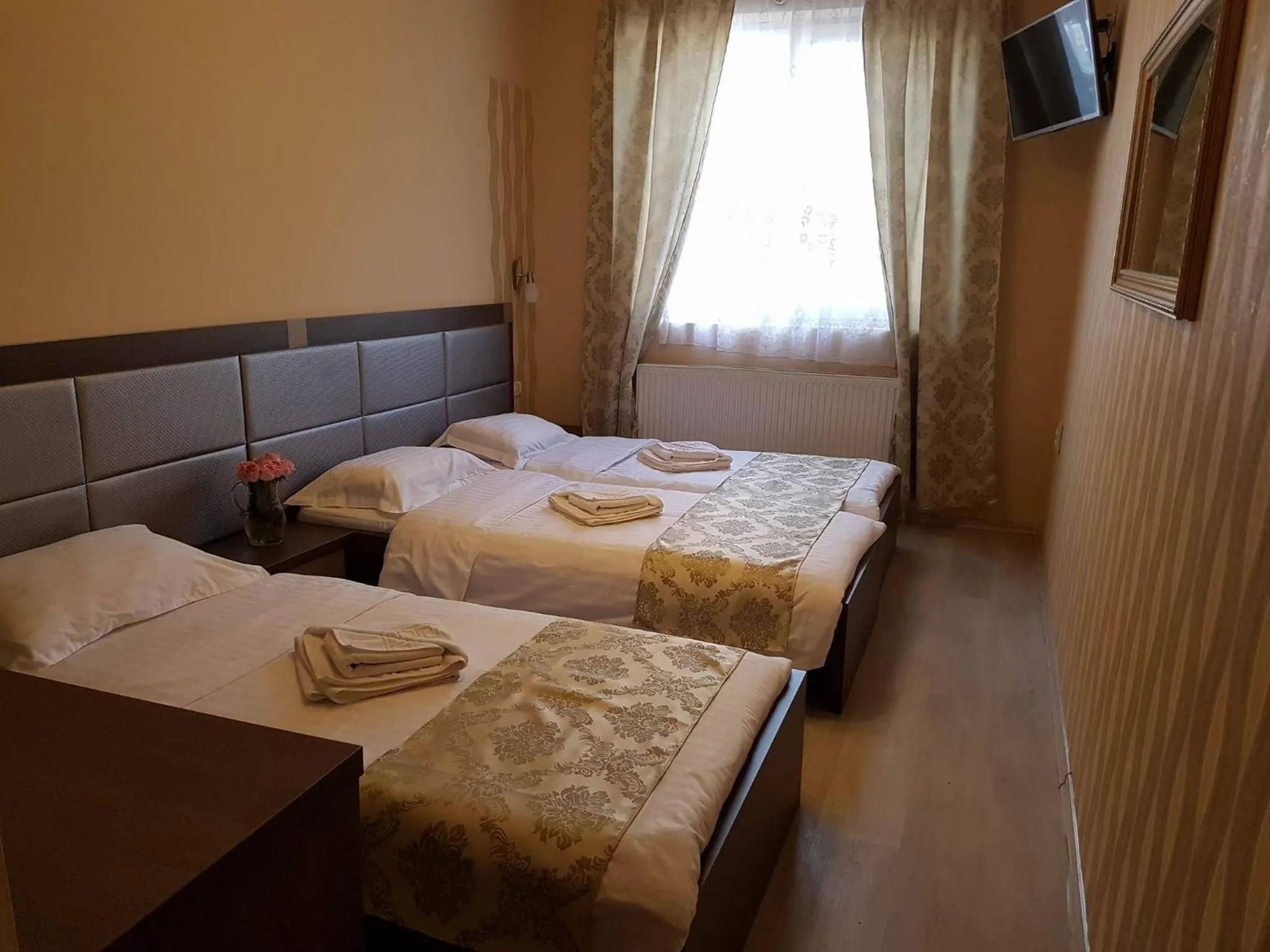 Photo of the whole room in Hotel Caras