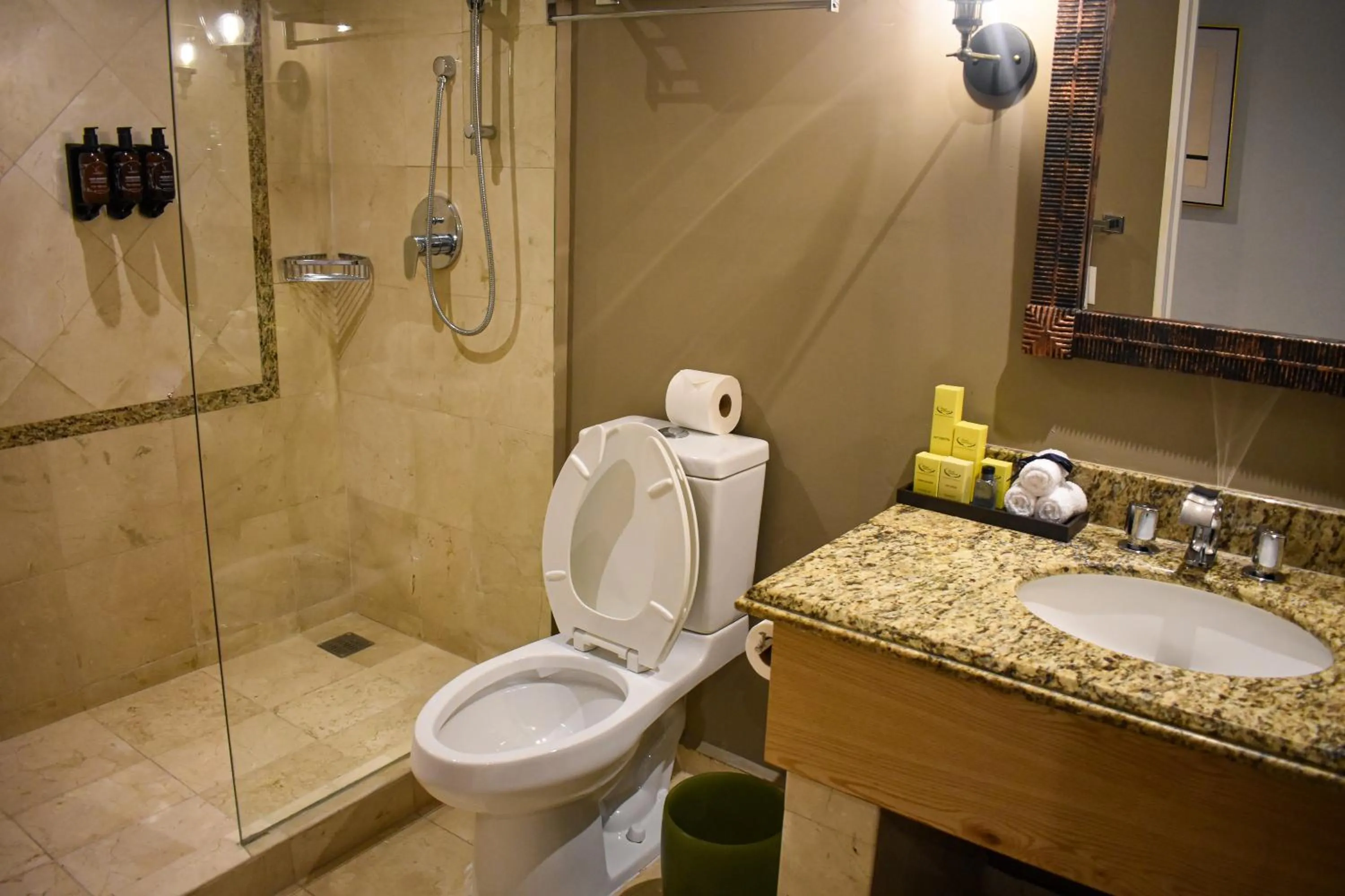 Bathroom in Princess Mundo Imperial Riviera Diamante Acapulco