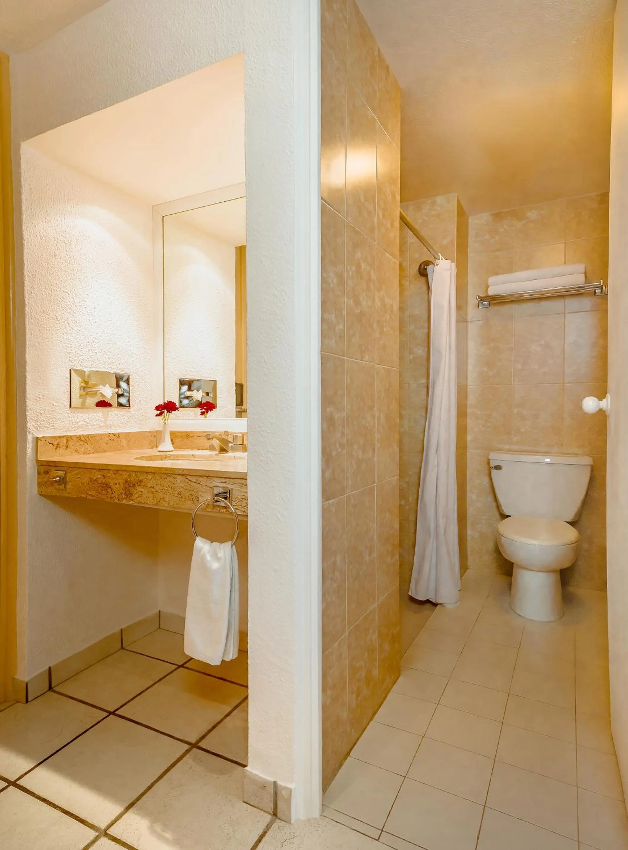 Toilet in Hotel Veracruz Centro Histórico