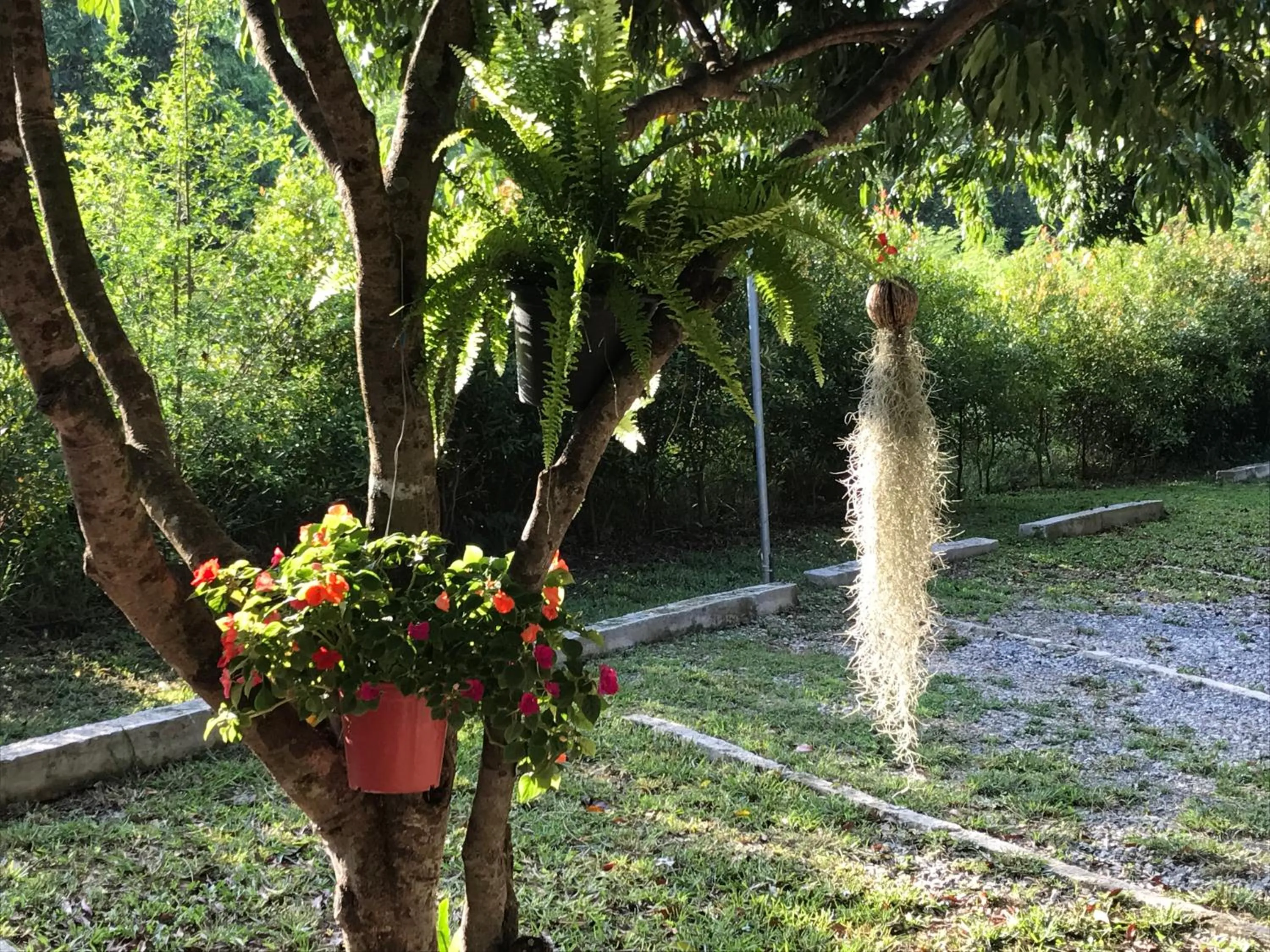 Jardin De Mangue Pakchong