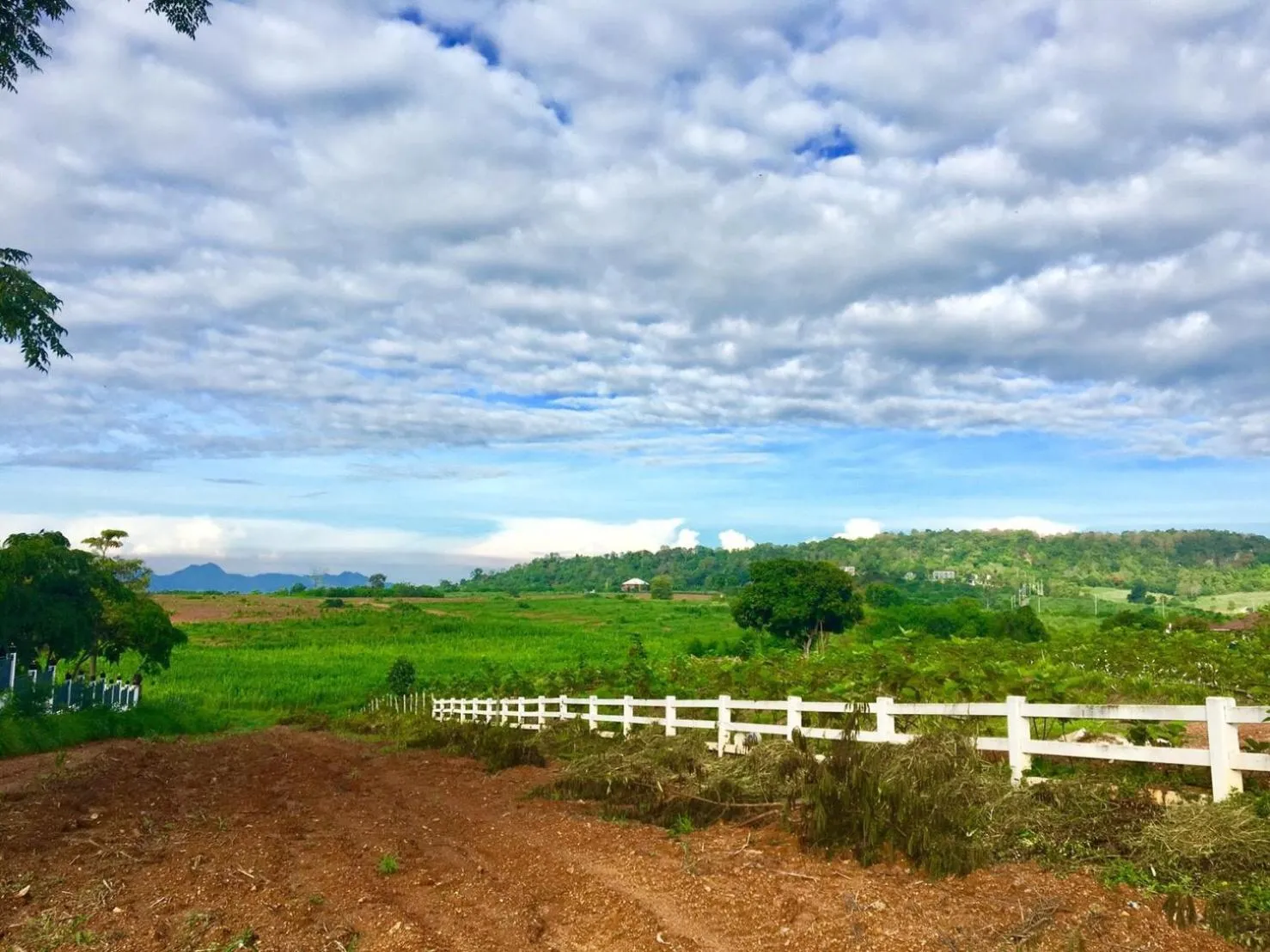 Jardin De Mangue Pakchong