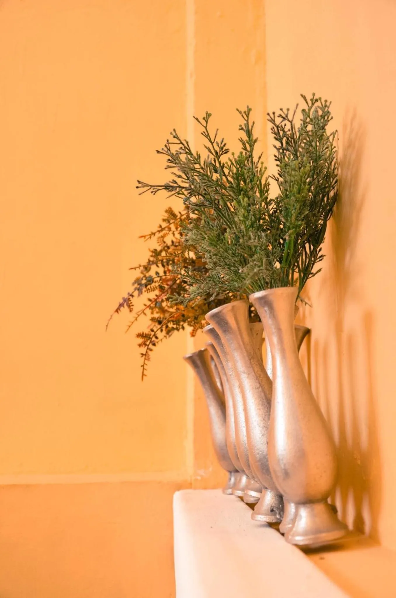 Jardin De Mangue Pakchong