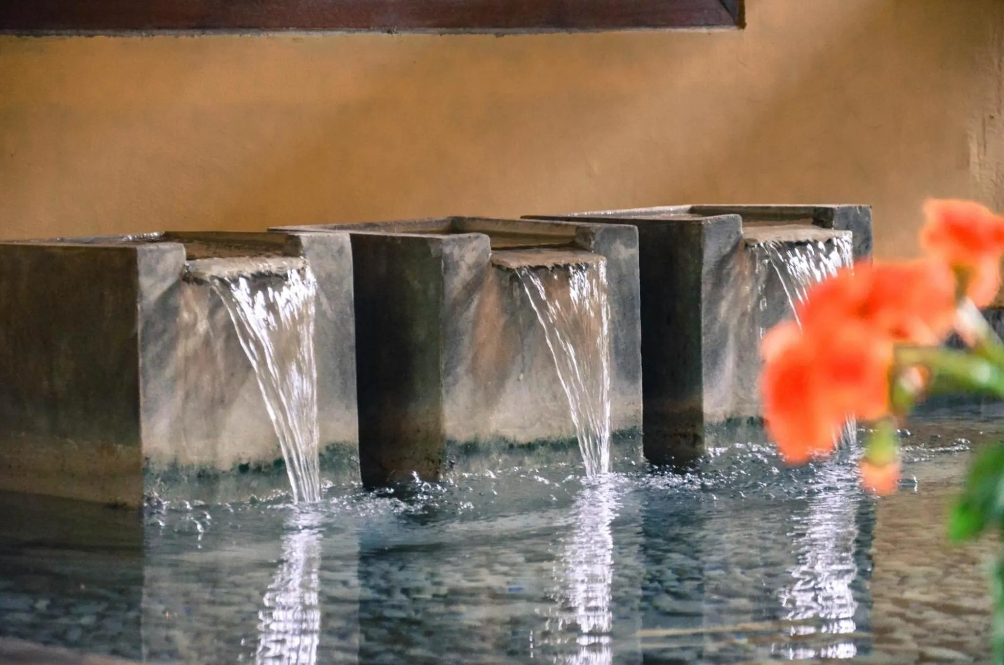 Jardin De Mangue Pakchong