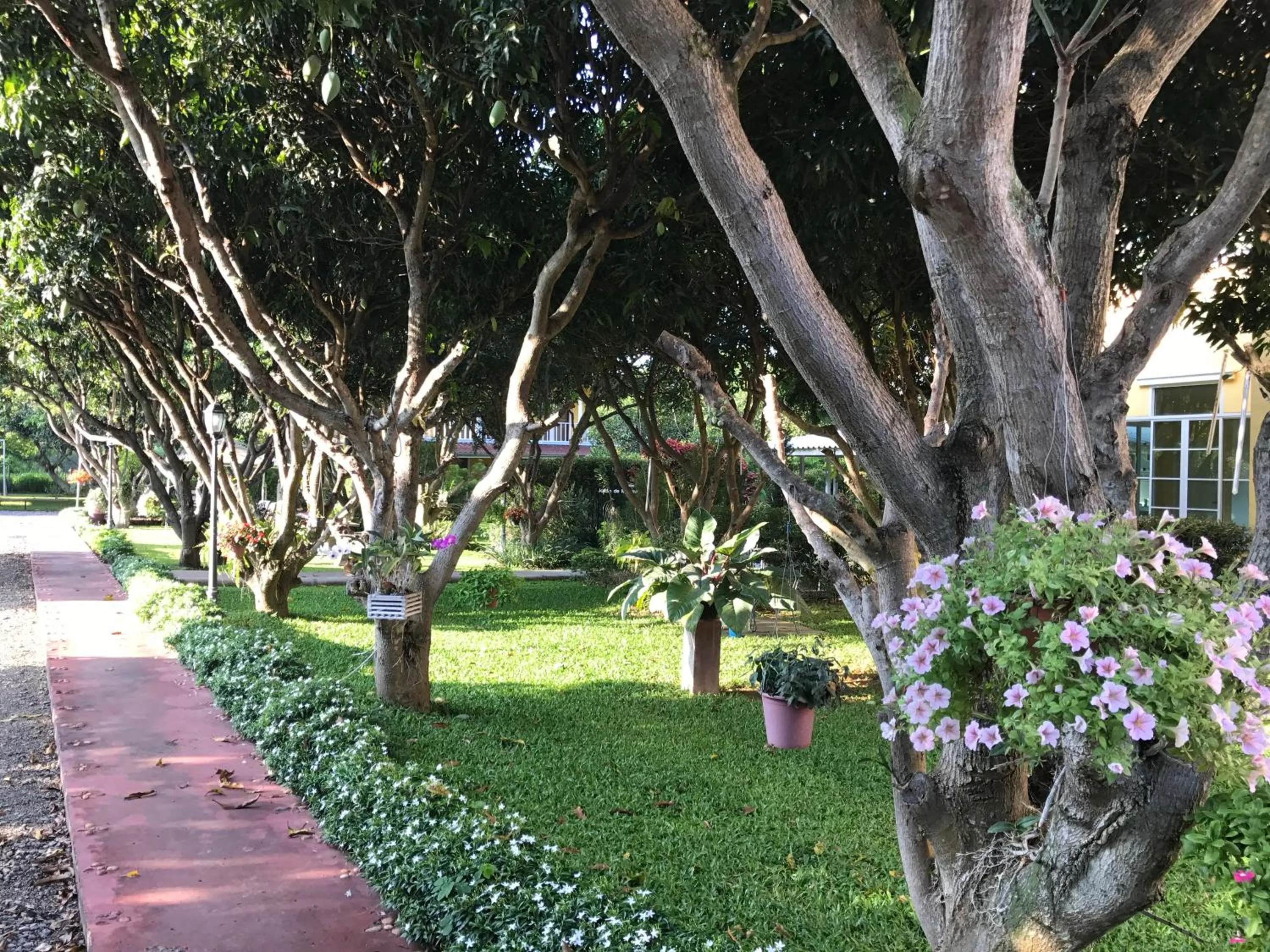 Jardin De Mangue Pakchong