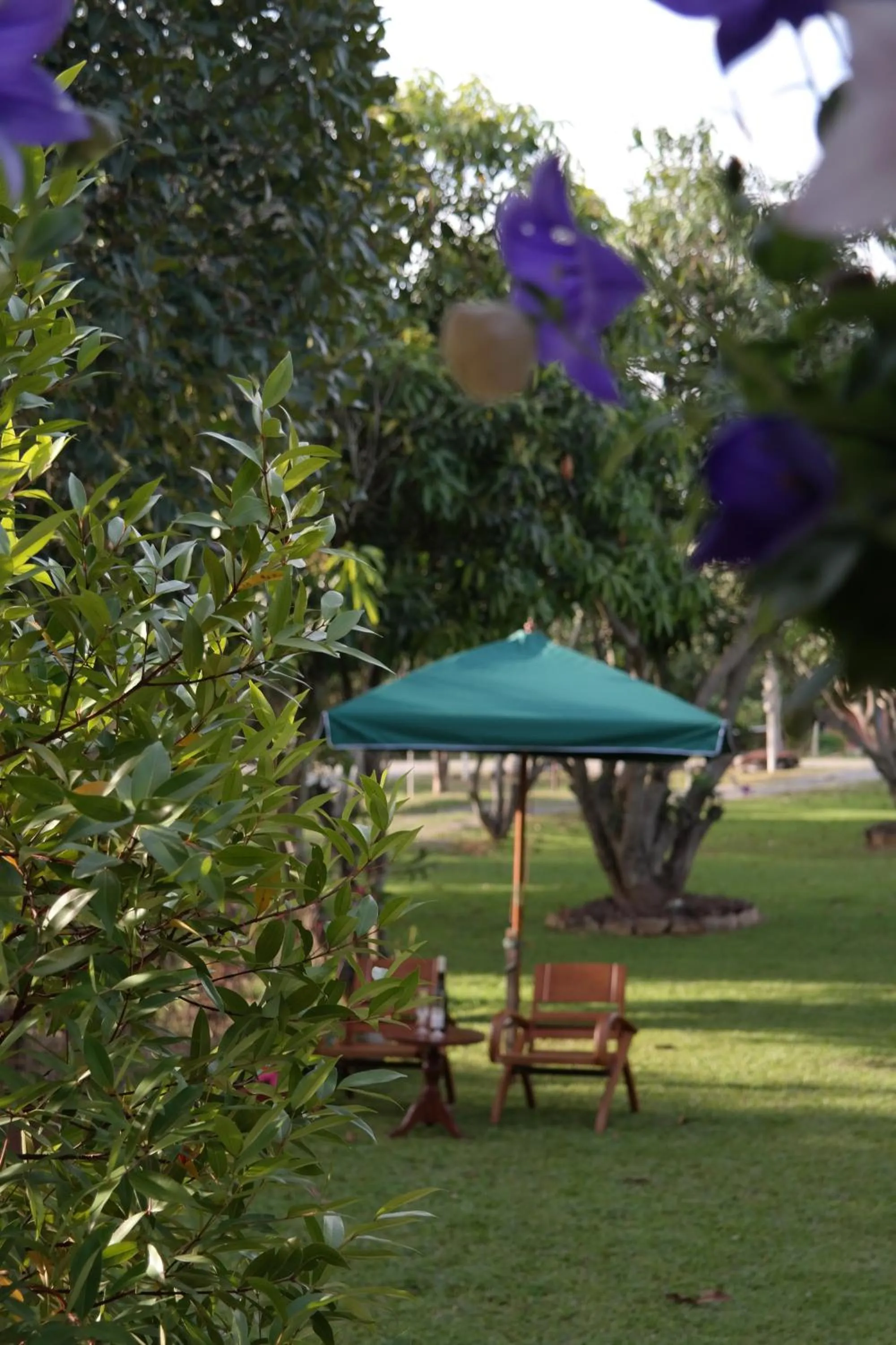 Jardin De Mangue Pakchong